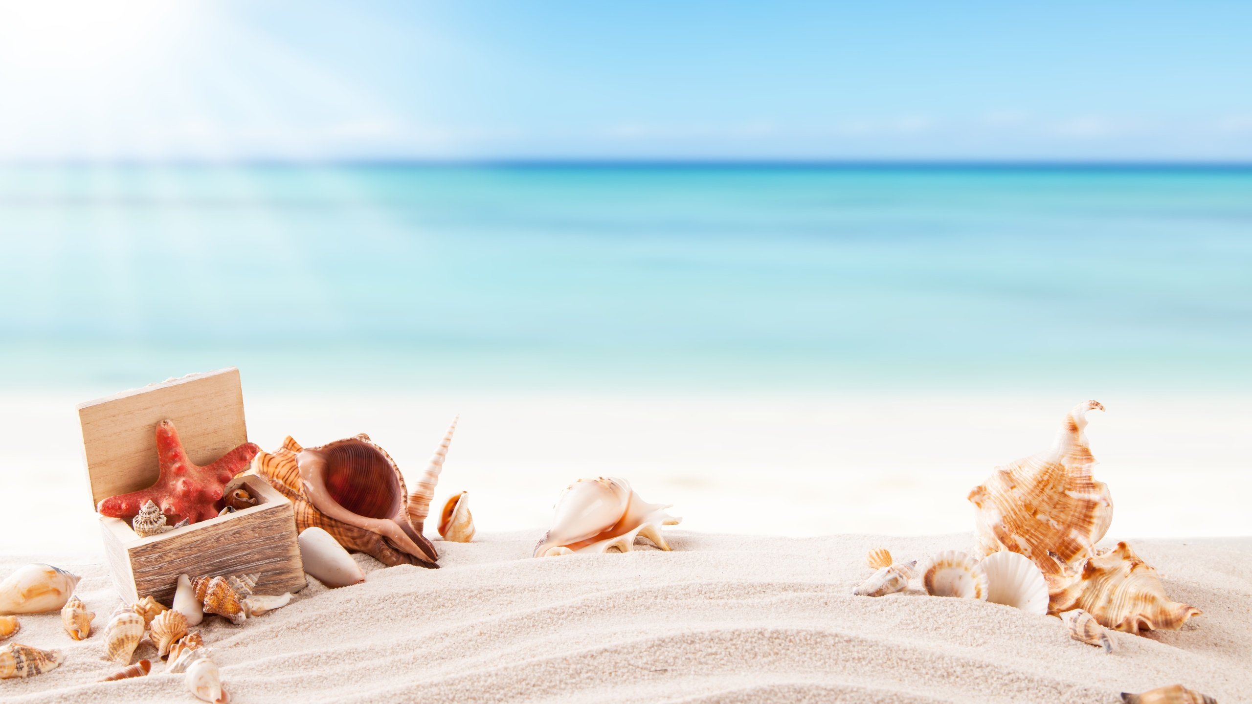 Обои солнце, каникулы, море, летнее, песок, пляж, лето, ракушки, морская звезда, песка, seashells, the sun, vacation, sea, sand, beach, summer, shell, starfish разрешение 5616x3744 Загрузить