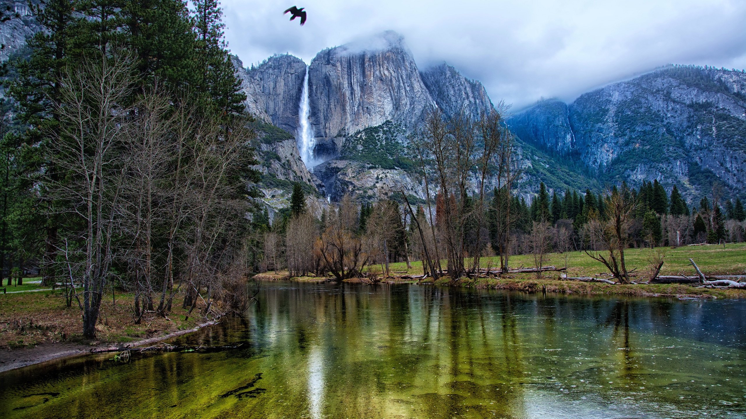 Обои деревья, йосемити, река, горы, скалы, лес, водопад, птица, сша, trees, yosemite, river, mountains, rocks, forest, waterfall, bird, usa разрешение 3000x2000 Загрузить