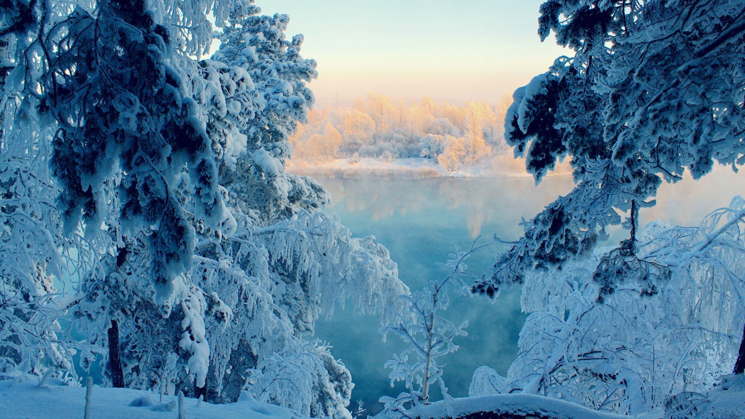 Обои деревья, река, снег, природа, зима, ветви, trees, river, snow, nature, winter, branch разрешение 2560x1600 Загрузить