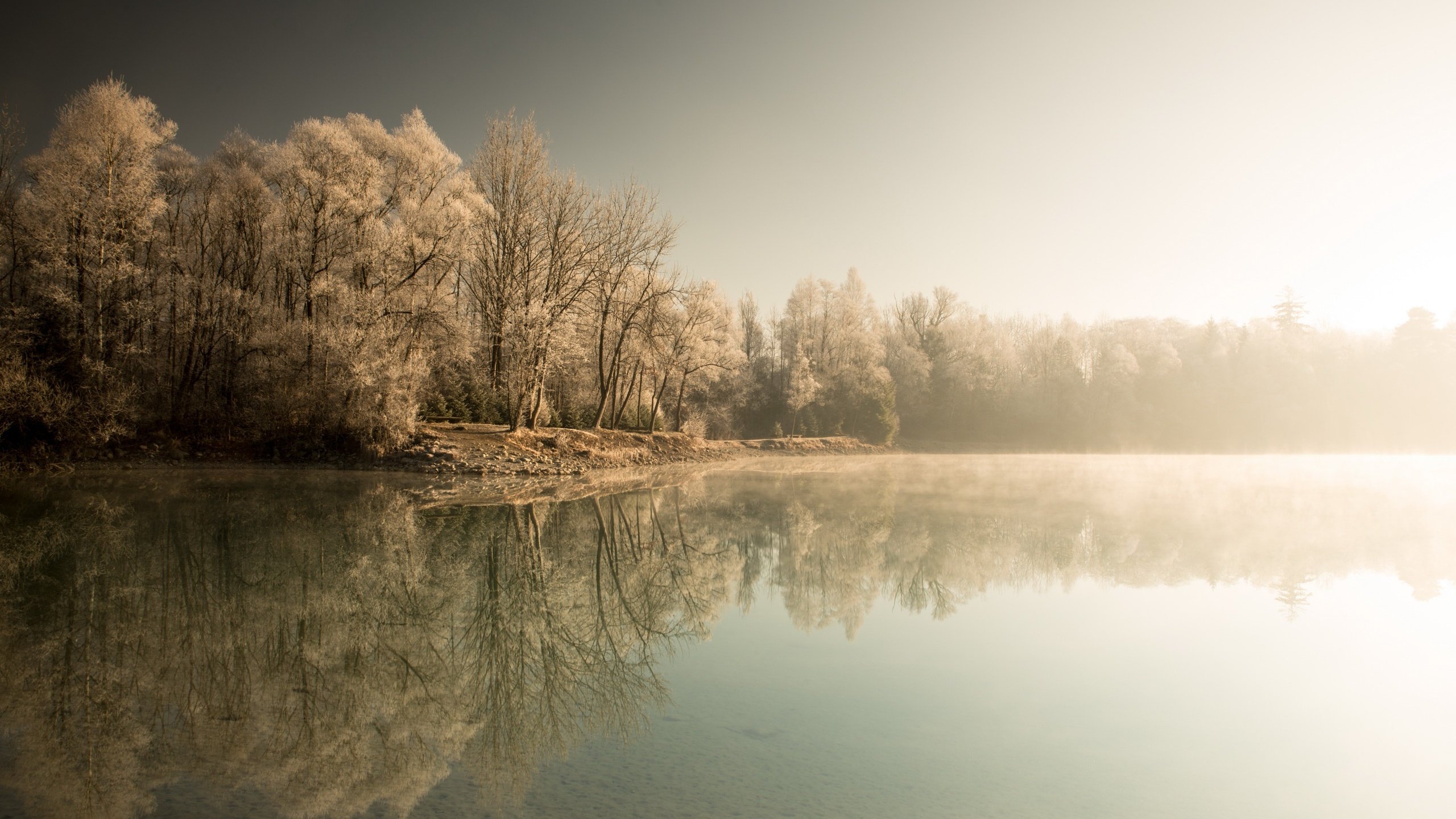 Обои деревья, озеро, лес, зима, туман, trees, lake, forest, winter, fog разрешение 2560x1613 Загрузить