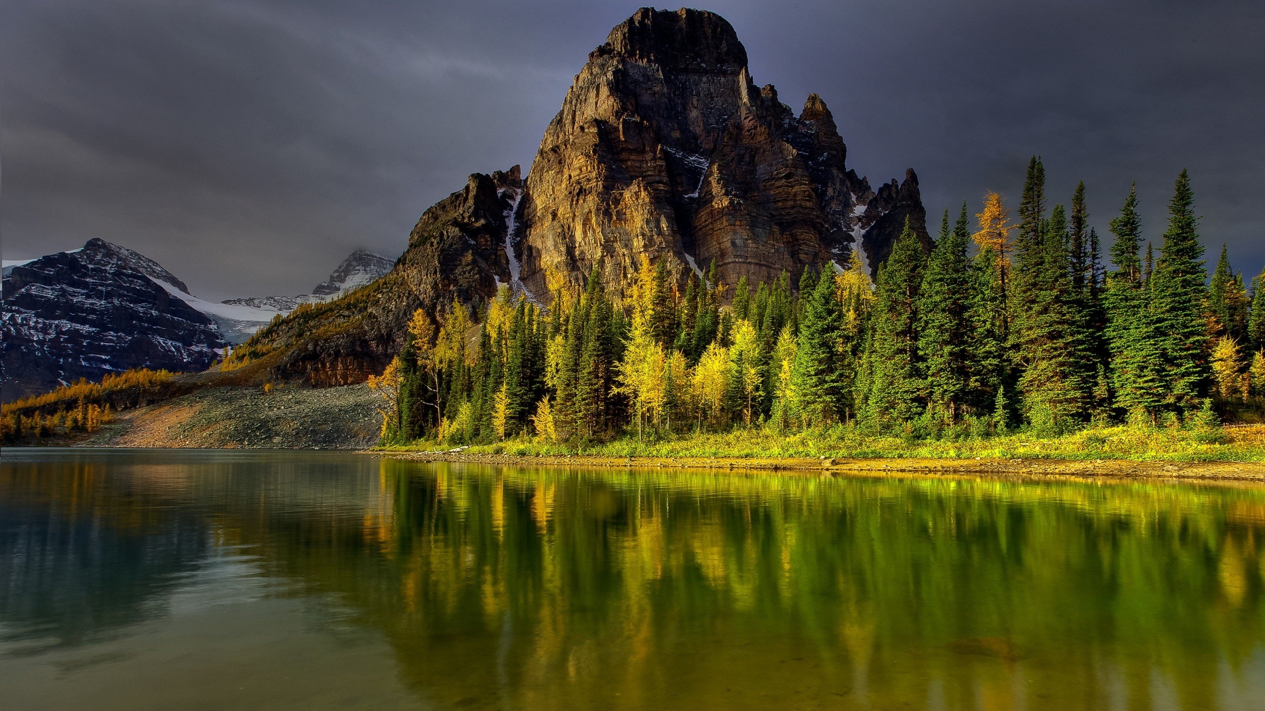 Обои небо, деревья, озеро, горы, лес, отражение, водоем, the sky, trees, lake, mountains, forest, reflection, pond разрешение 2560x1600 Загрузить