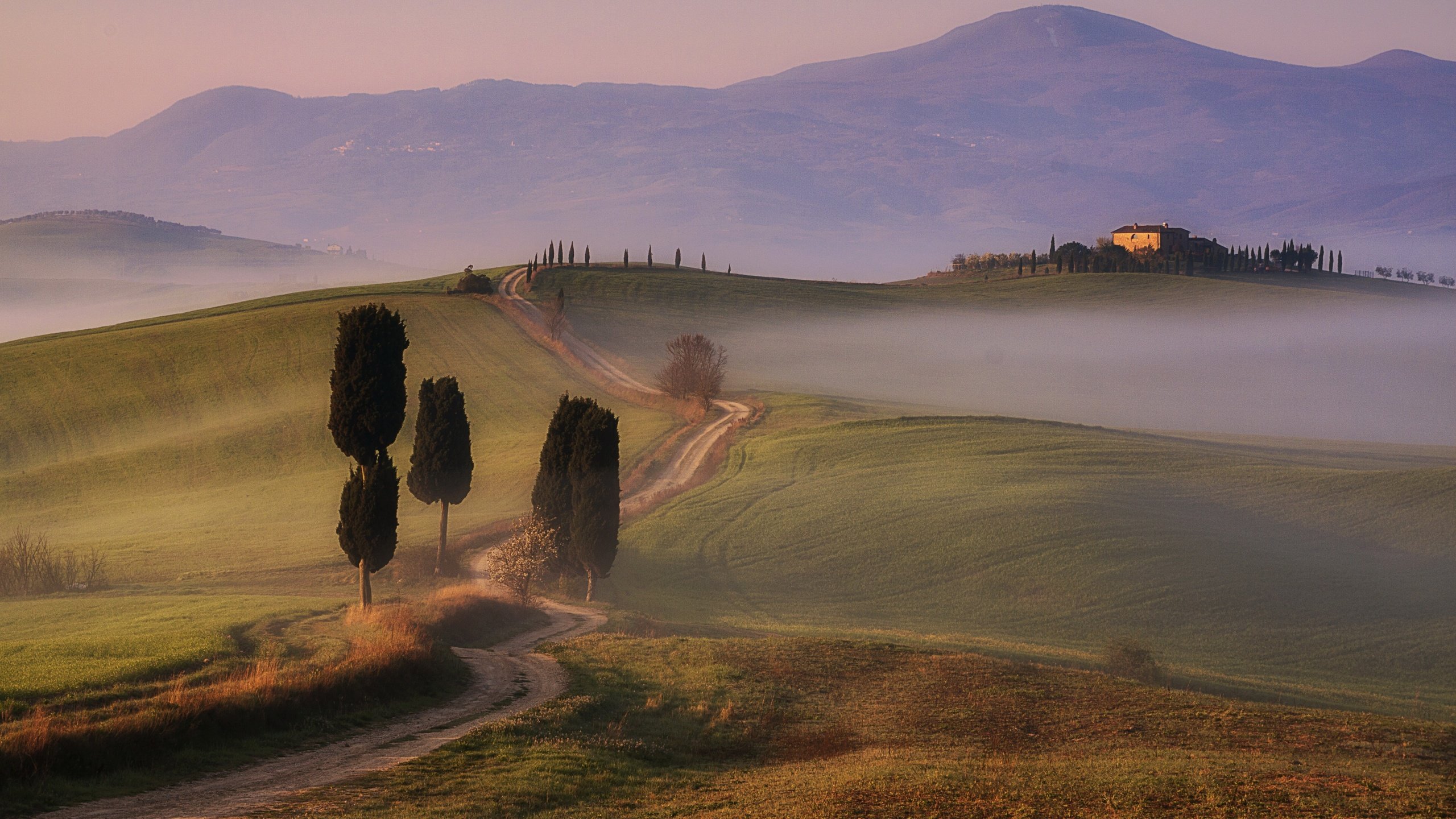 Обои дорога, тоскана, деревья, горы, туман, поле, дома, италия, долина, road, tuscany, trees, mountains, fog, field, home, italy, valley разрешение 3886x2392 Загрузить