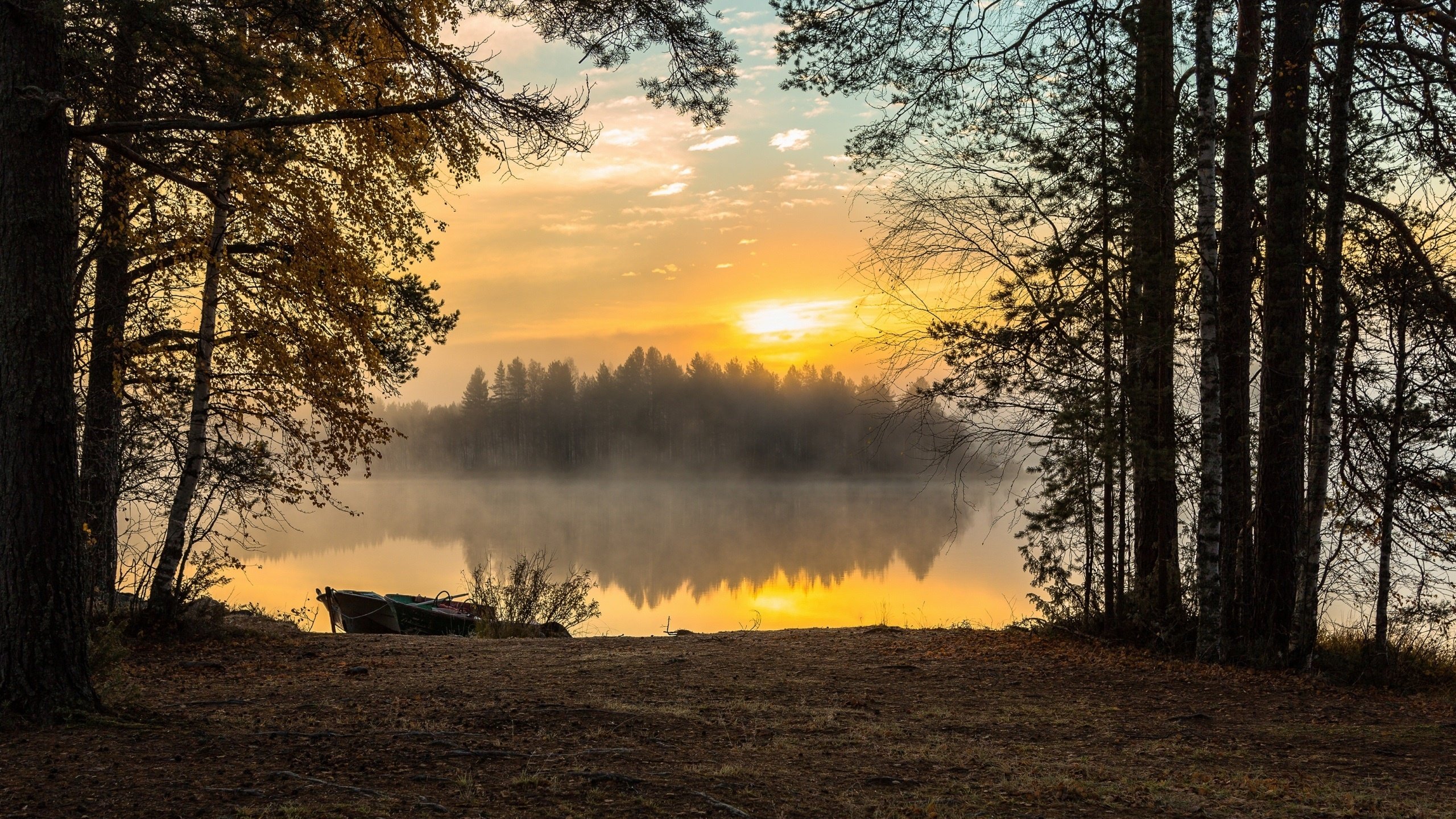 Обои озеро, лес, утро, туман, рассвет, lake, forest, morning, fog, dawn разрешение 2560x1600 Загрузить