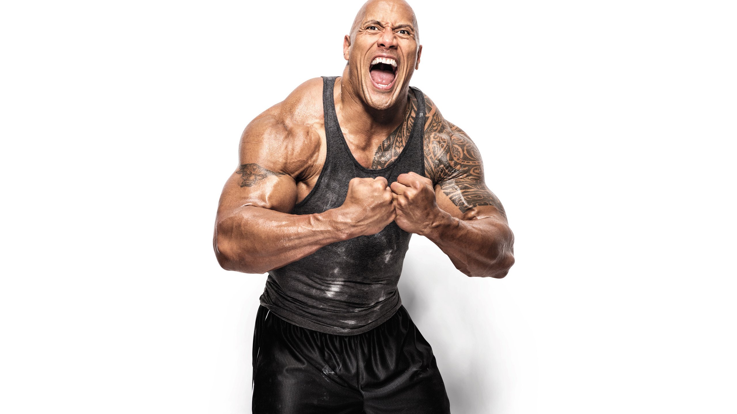 Обои взгляд, актёр, тату, лицо, мужчина, дуейн джонсон, look, actor, tattoo, face, male, dwayne johnson разрешение 2880x1800 Загрузить