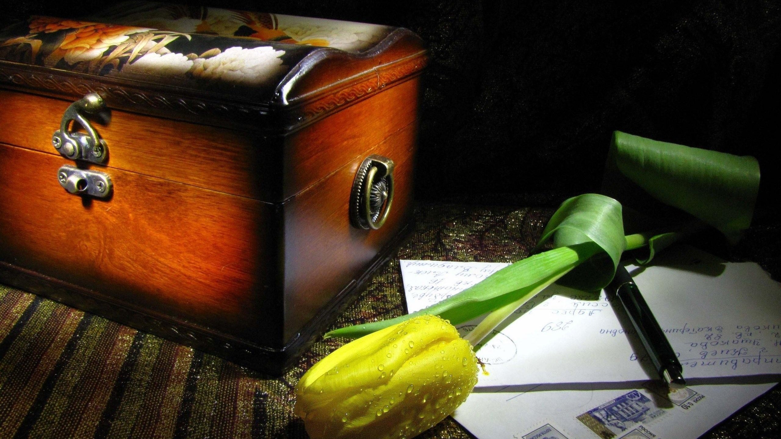 Обои цветок, капли, натюрморт, письма, желтый тюльпан, сундучок, flower, drops, still life, letters, yellow tulip, chest разрешение 2560x1900 Загрузить