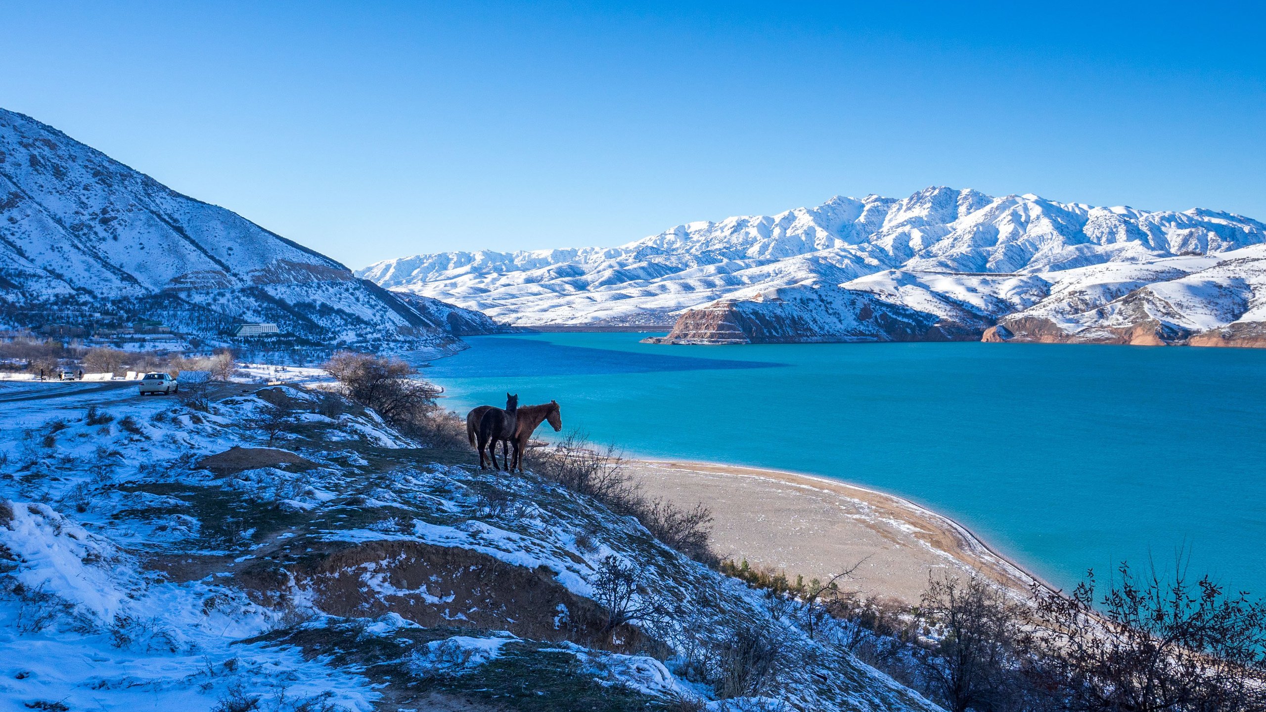 Обои лошадь, озеро, горы, природа, зима, horse, lake, mountains, nature, winter разрешение 3840x2400 Загрузить