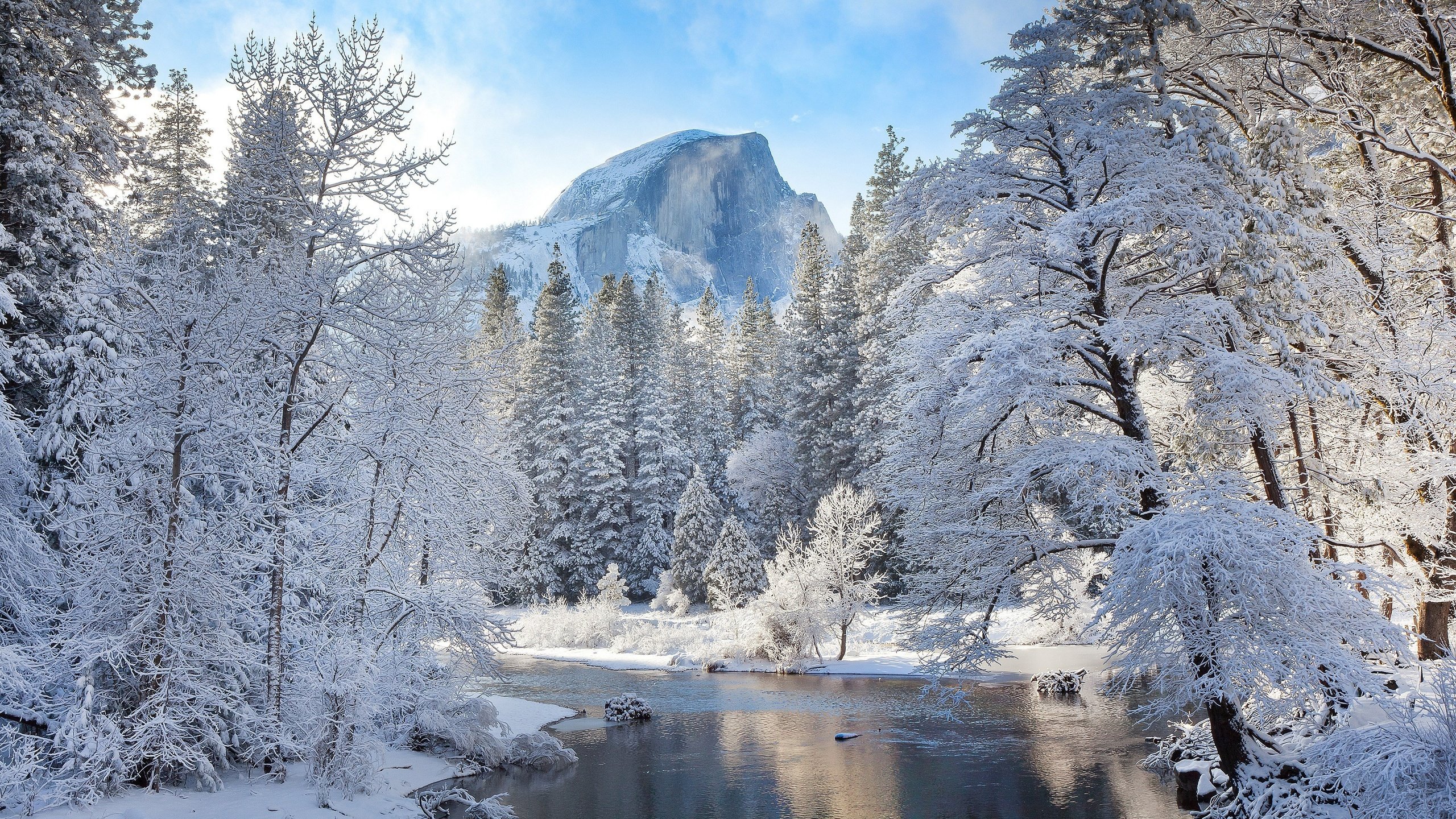 Обои деревья, река, горы, природа, зима, пейзаж, иней, лёд, trees, river, mountains, nature, winter, landscape, frost, ice разрешение 3840x2160 Загрузить