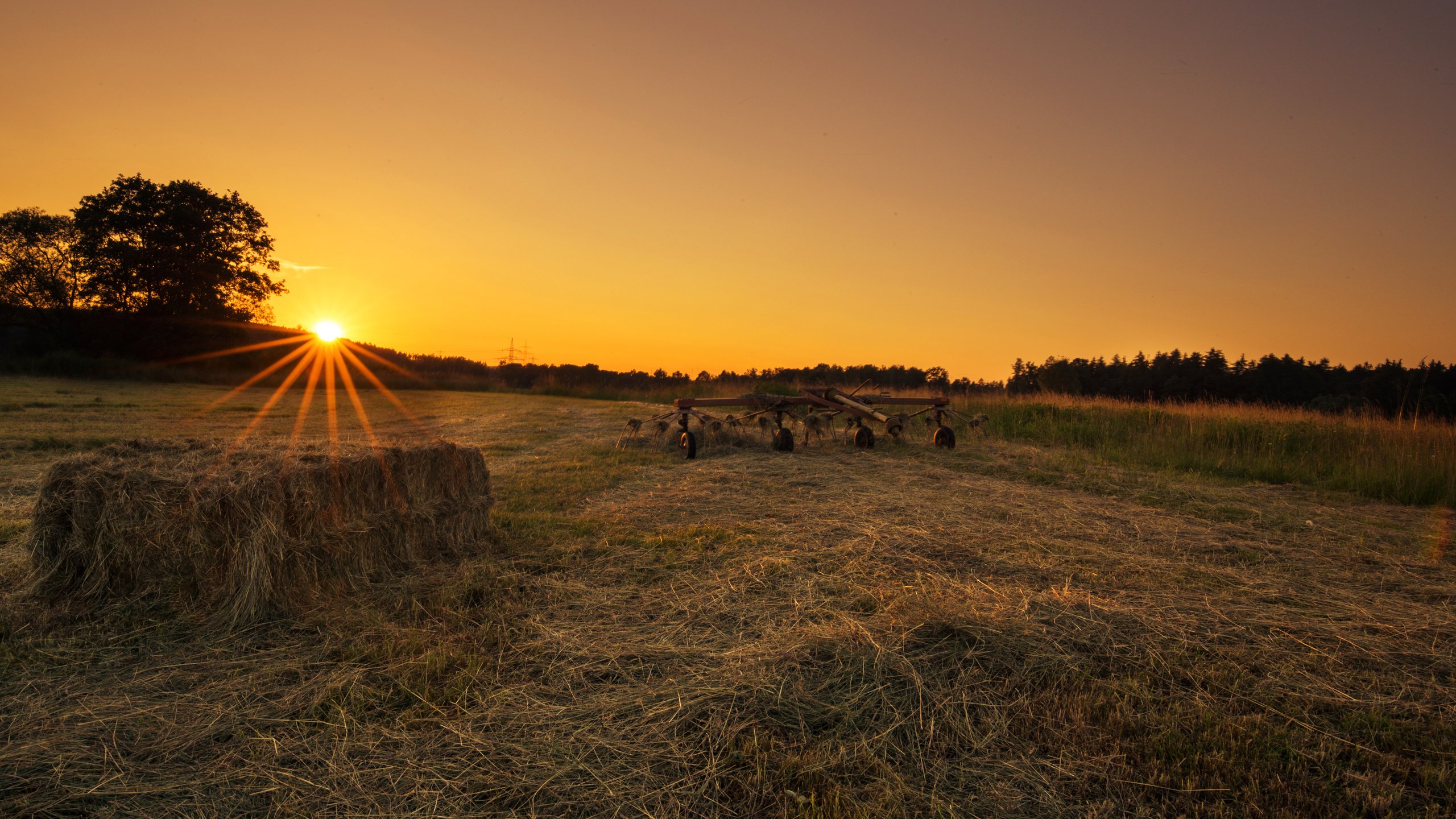 Обои трава, солнце, закат, поле, lena held, grass, the sun, sunset, field разрешение 5472x3648 Загрузить