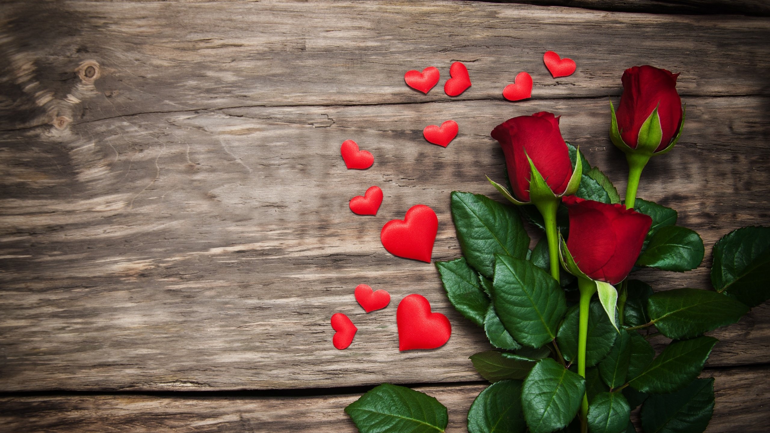 Обои святого, цветы, красные розы, бутоны, розы, лепестки, красные, любовь, сердечки, день святого валентина, holy, flowers, red roses, buds, roses, petals, red, love, hearts, valentine's day разрешение 2880x1800 Загрузить