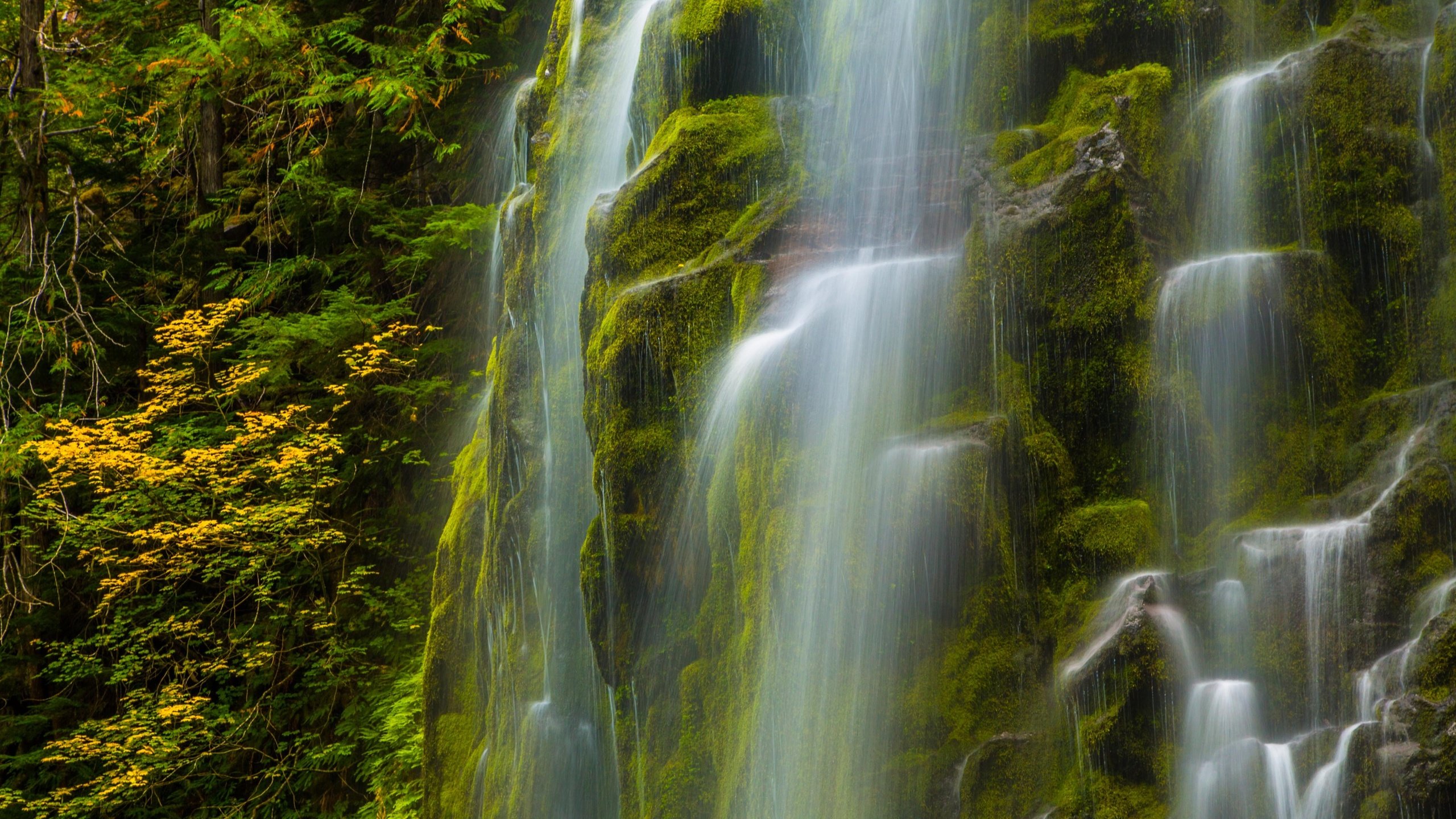 Обои природа, водопад, сша, мох, орегон, nature, waterfall, usa, moss, oregon разрешение 4652x2957 Загрузить