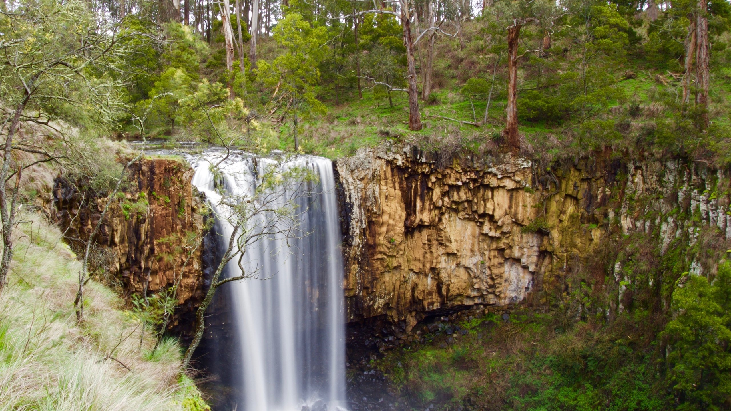 Обои деревья, природа, лес, пейзаж, скала, водопад, обрыв, trees, nature, forest, landscape, rock, waterfall, open разрешение 4055x2922 Загрузить