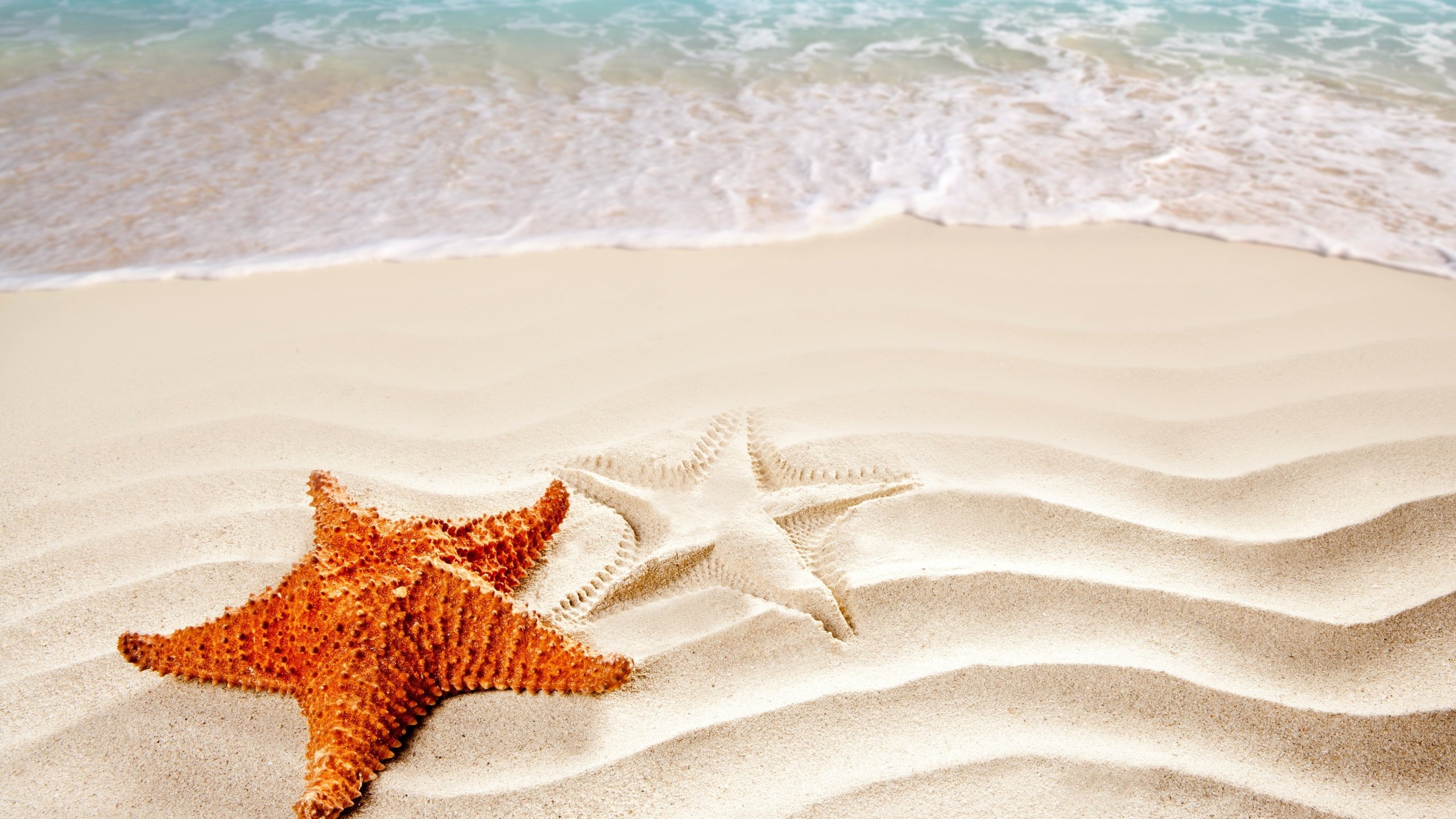 Обои волны, море, песок, пляж, морская звезда, wave, sea, sand, beach, starfish разрешение 4914x3368 Загрузить