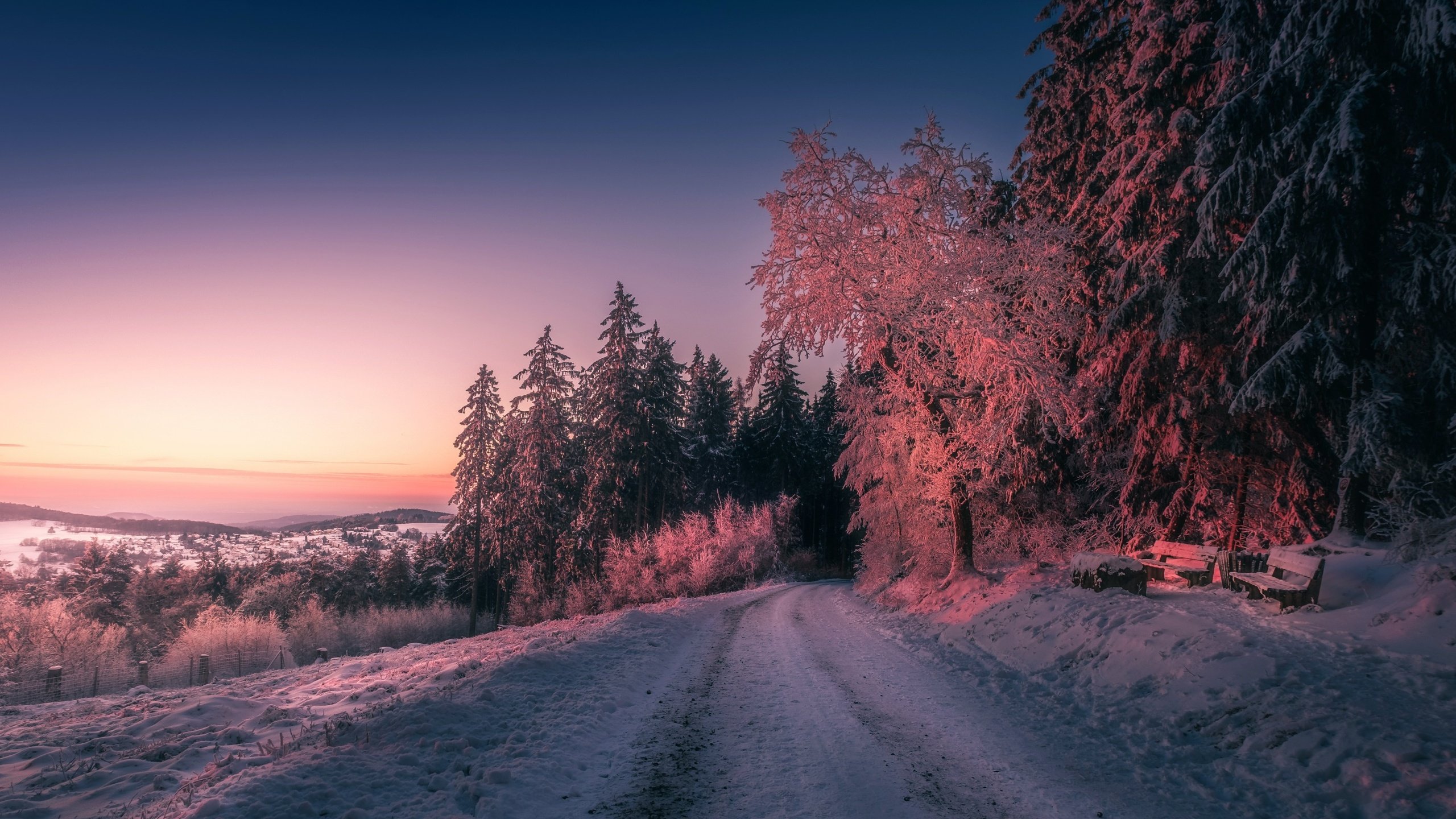 Обои дорога, деревья, вечер, природа, закат, зима, road, trees, the evening, nature, sunset, winter разрешение 2880x1800 Загрузить