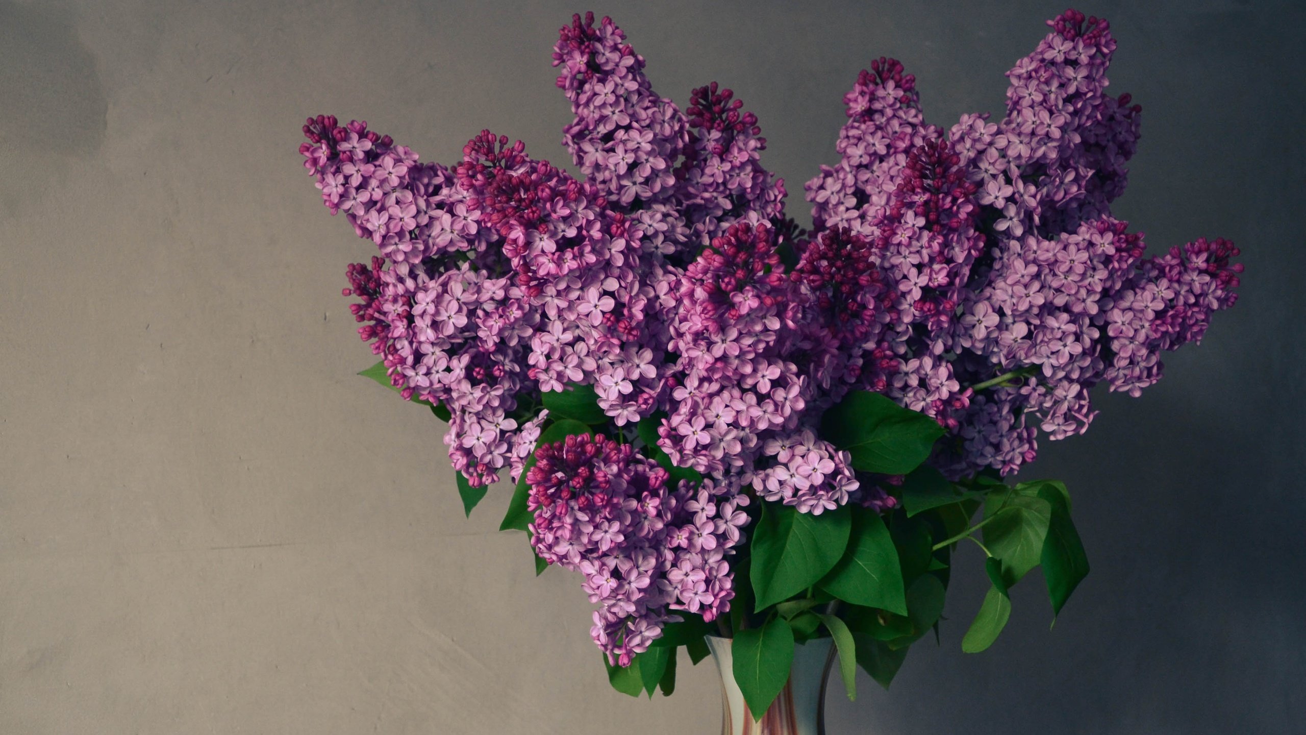 Обои цветы, весна, букет, ваза, сирень, композиция, flowers, spring, bouquet, vase, lilac, composition разрешение 3456x2304 Загрузить