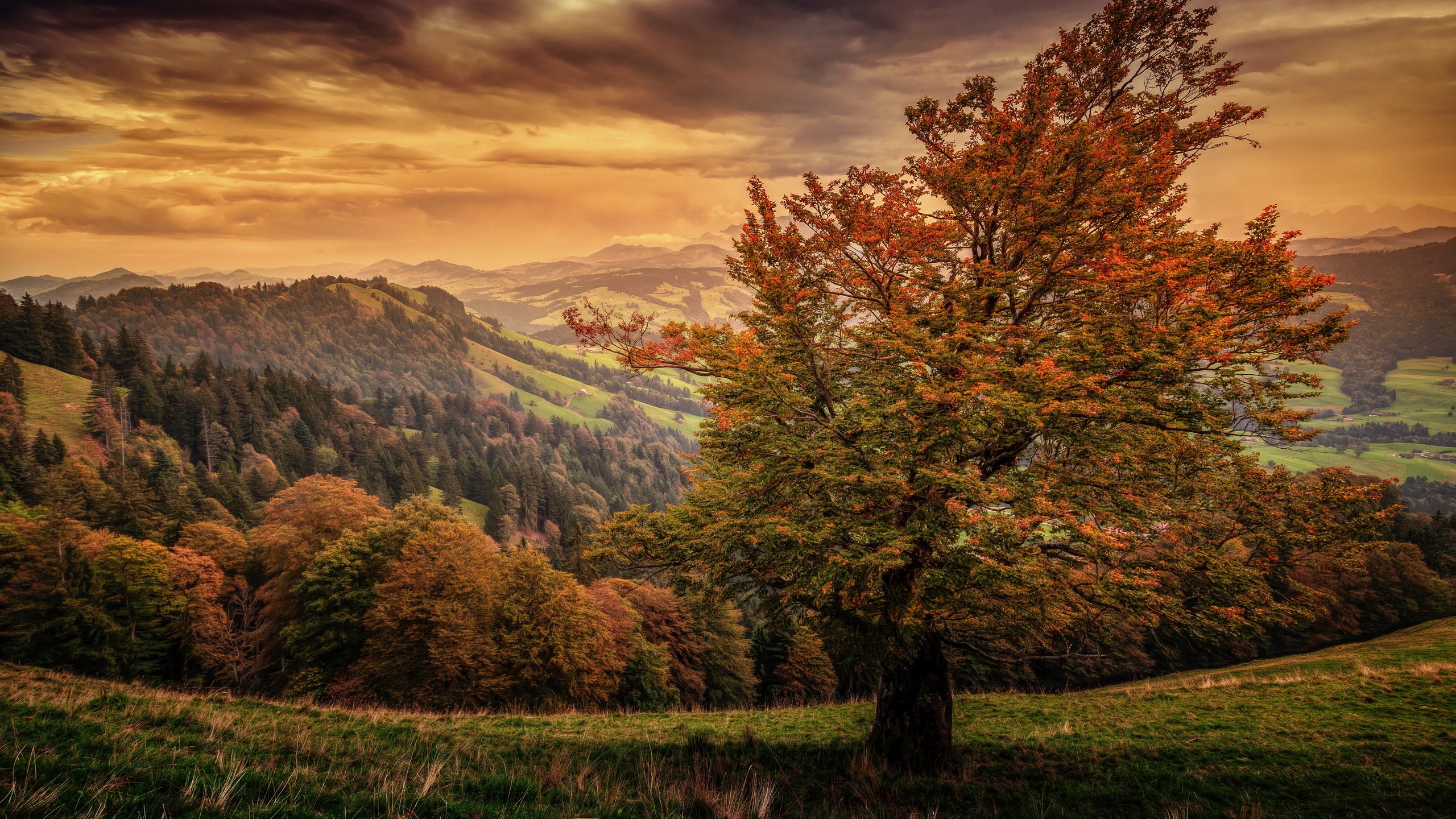 Обои небо, горы, природа, осень, швейцария,     деревья, the sky, mountains, nature, autumn, switzerland, trees разрешение 5616x3744 Загрузить