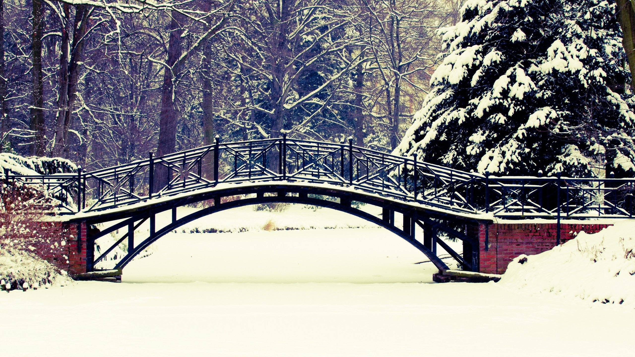 Обои деревья, снег, природа, зима, пейзаж, парк, мост,     деревья, trees, snow, nature, winter, landscape, park, bridge разрешение 5120x3413 Загрузить