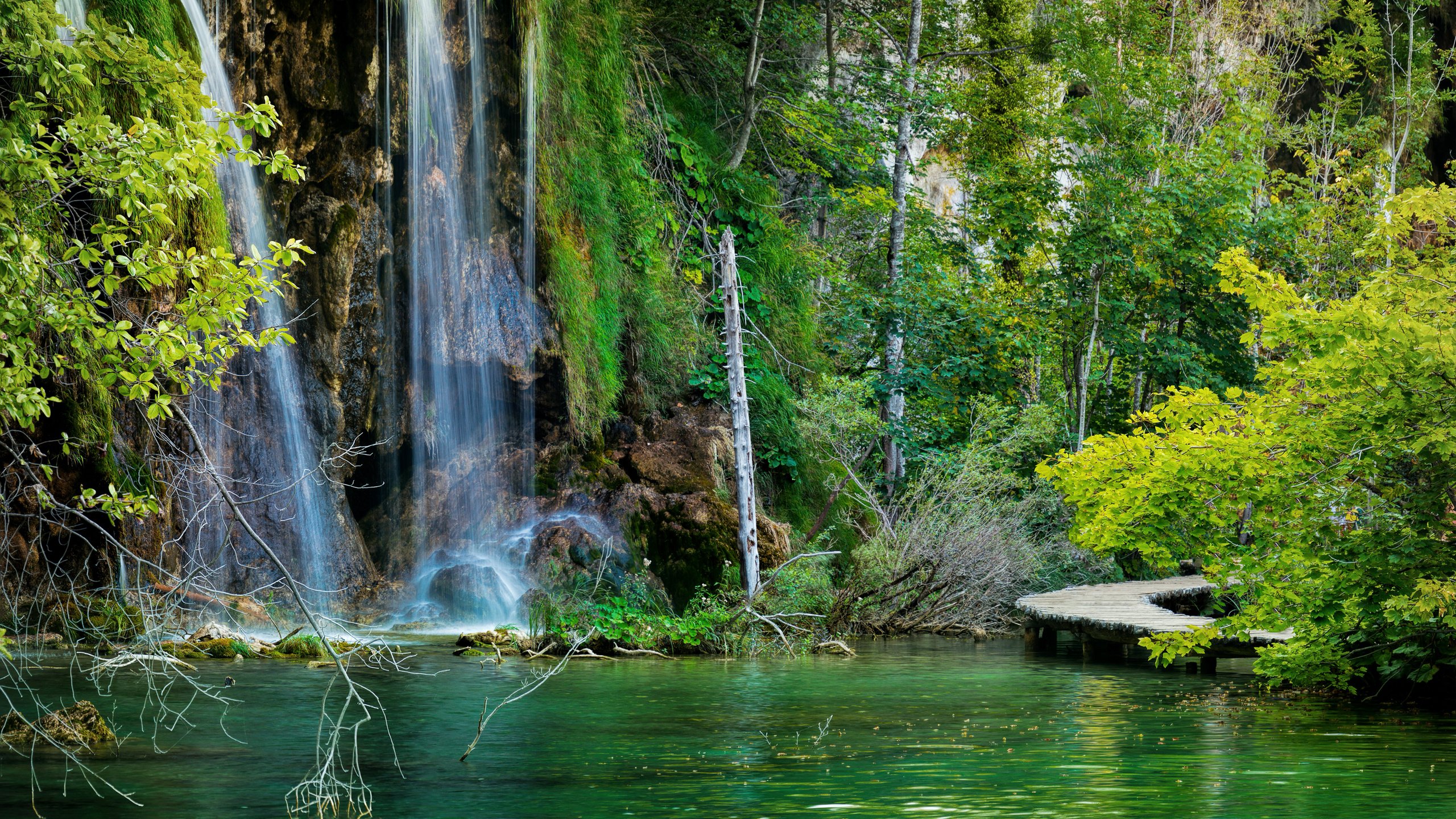 Обои озеро, скалы, камни, лес, водопад, хорватия, мостки, plitvice lakes national park, lake, rocks, stones, forest, waterfall, croatia, bridges разрешение 3140x1860 Загрузить