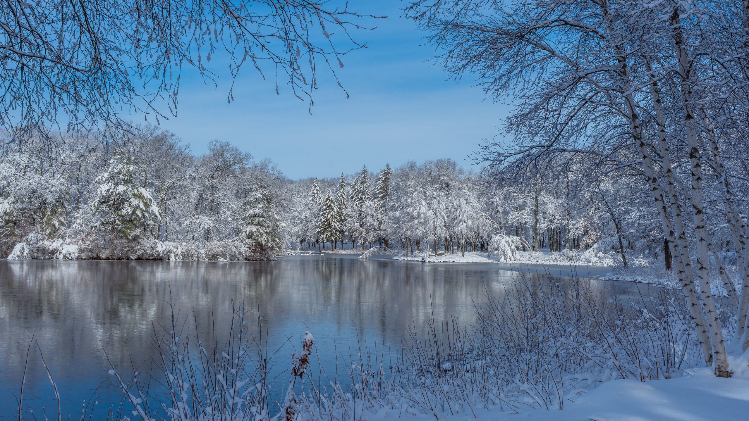 Обои озеро, штат массачусетс, снег, природа, дерево, зима, пейзаж, парк, сша, lake, massachusetts, snow, nature, tree, winter, landscape, park, usa разрешение 5763x3842 Загрузить