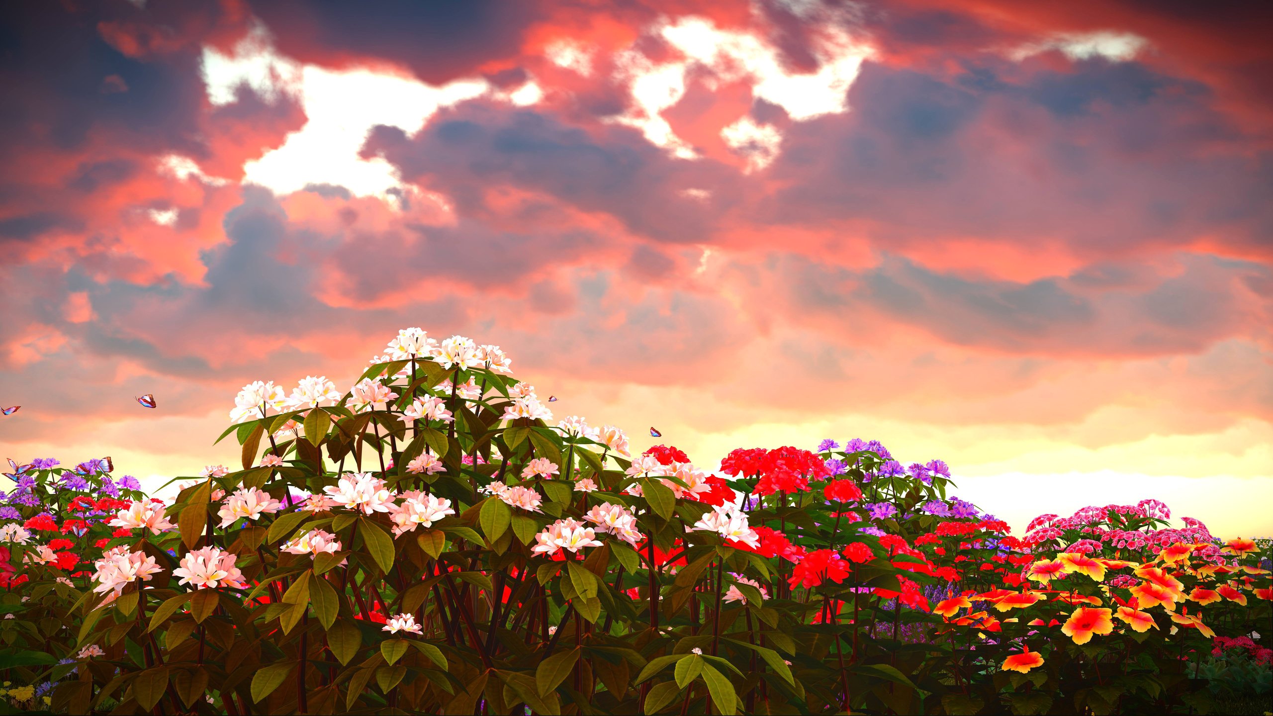 Обои цветы, облака, природа, закат, flowers, clouds, nature, sunset разрешение 6800x3825 Загрузить