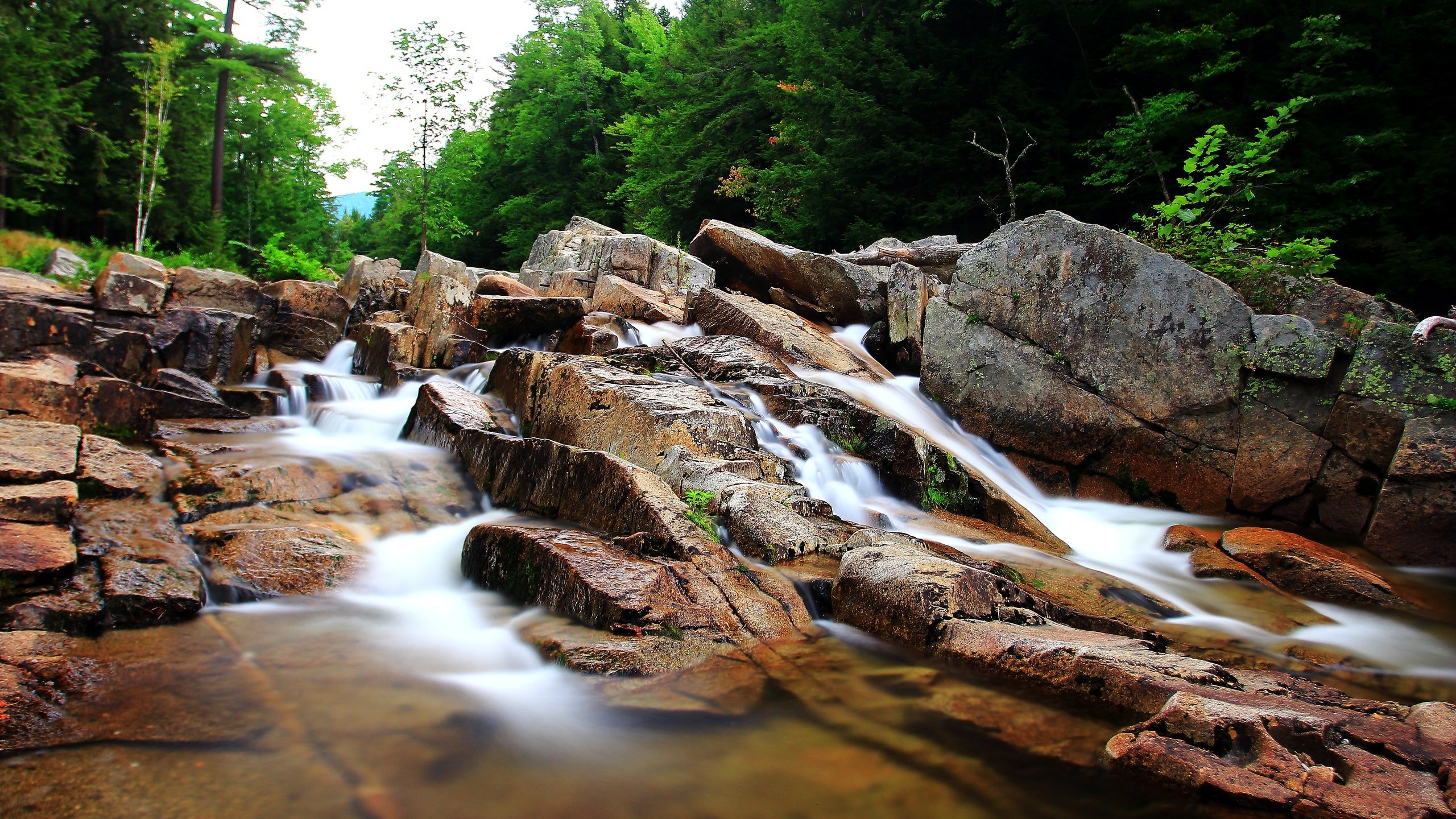 Обои деревья, камни, поток, речка, trees, stones, stream, river разрешение 5184x3456 Загрузить