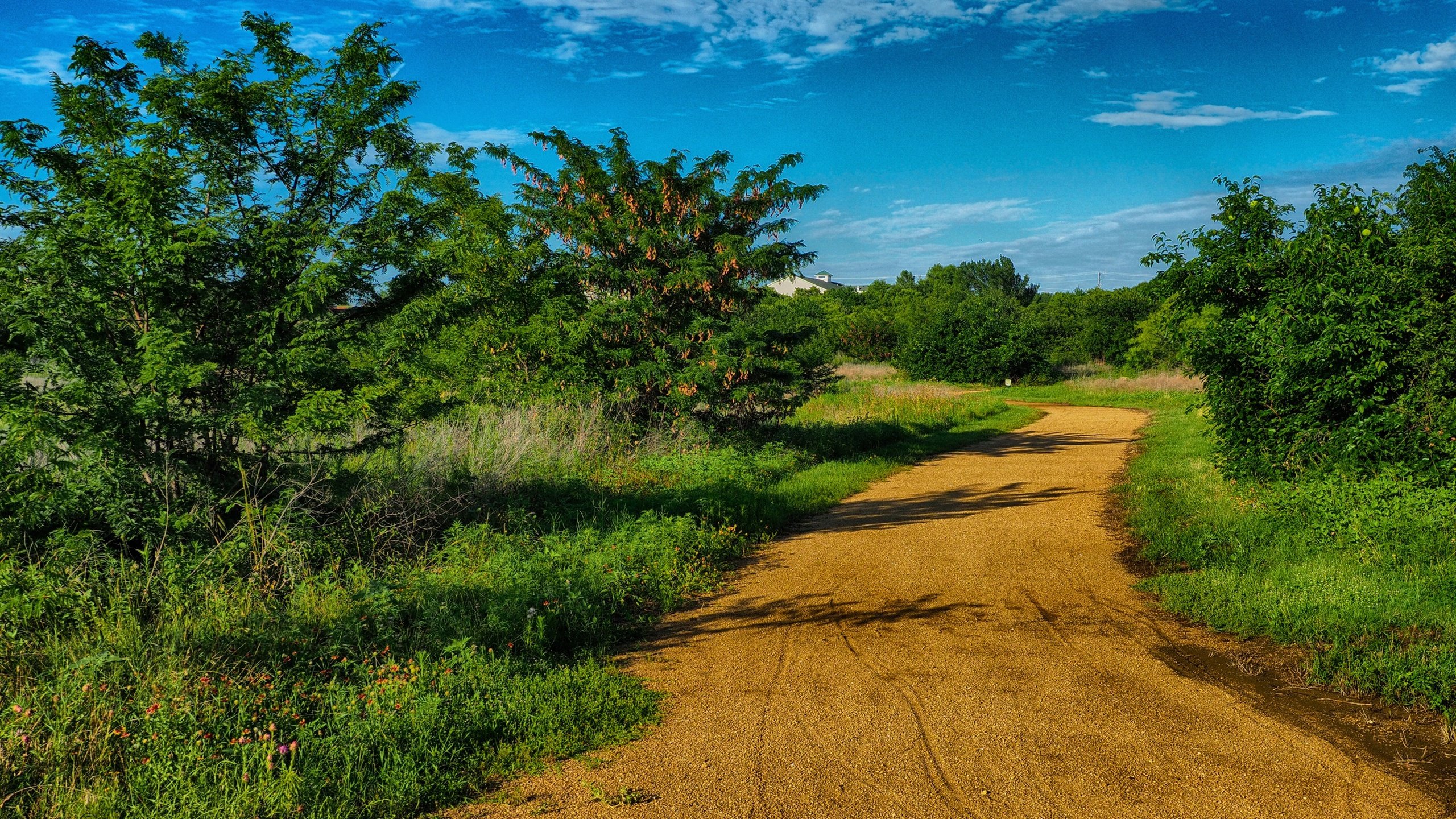 Обои небо, дорога, трава, облака, деревья, тень, сша, техас, the sky, road, grass, clouds, trees, shadow, usa, texas разрешение 2590x1785 Загрузить