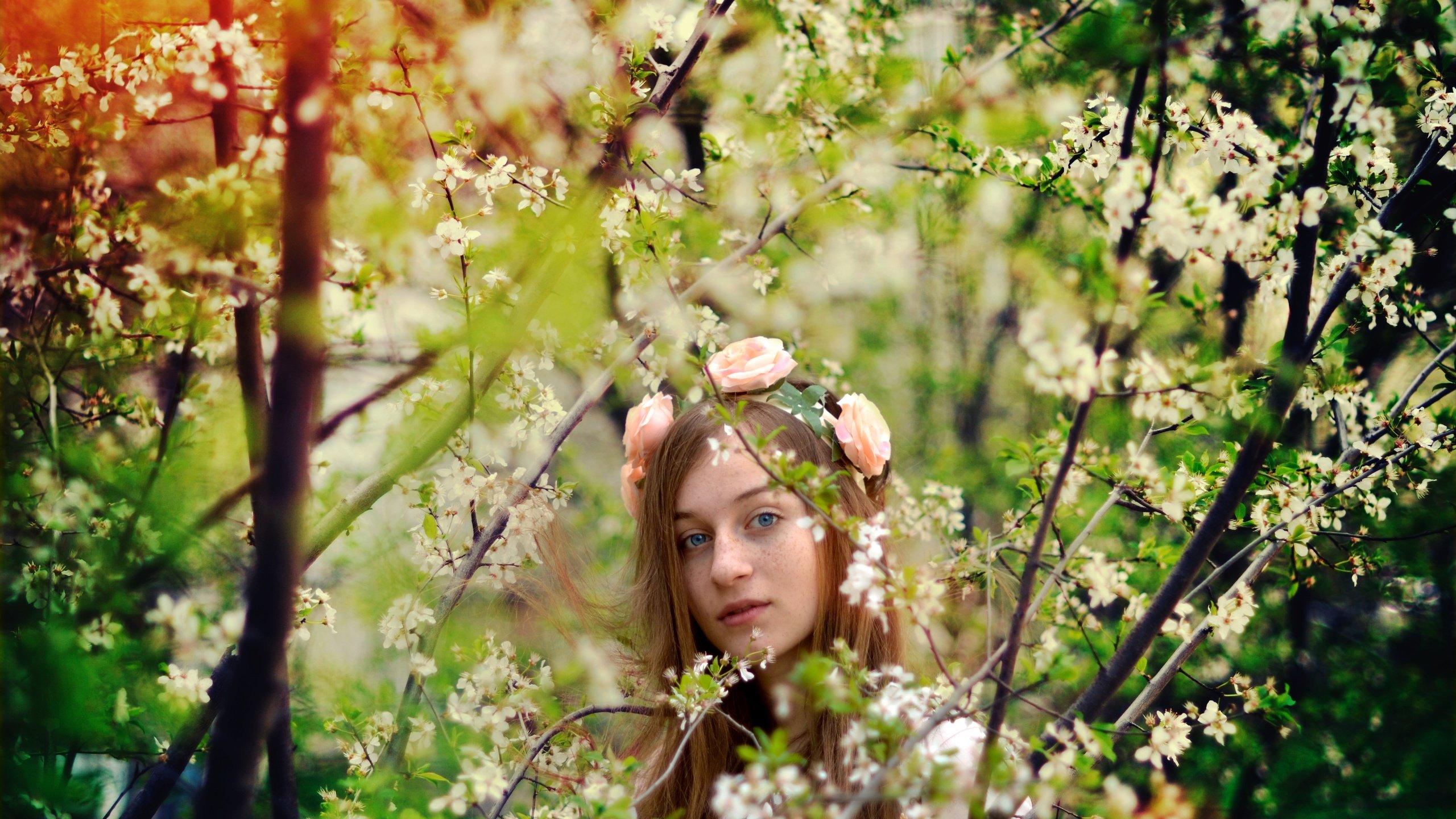 Обои цветы, деревья, природа, девушка, весна, веснушками, flowers, trees, nature, girl, spring, freckles разрешение 4608x3072 Загрузить