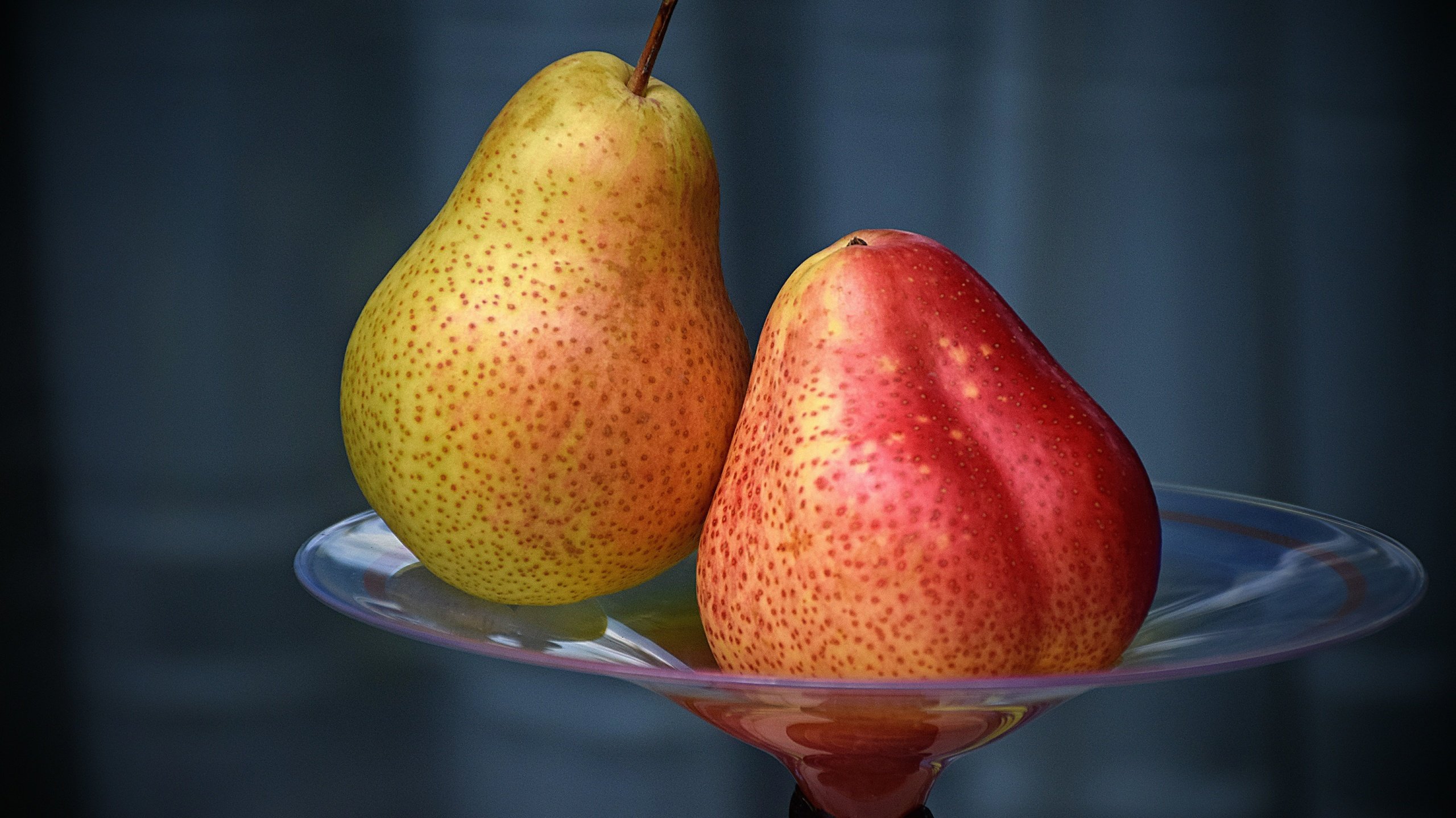 Обои фрукты, ваза, груши, fruit, vase, pear разрешение 6000x4000 Загрузить