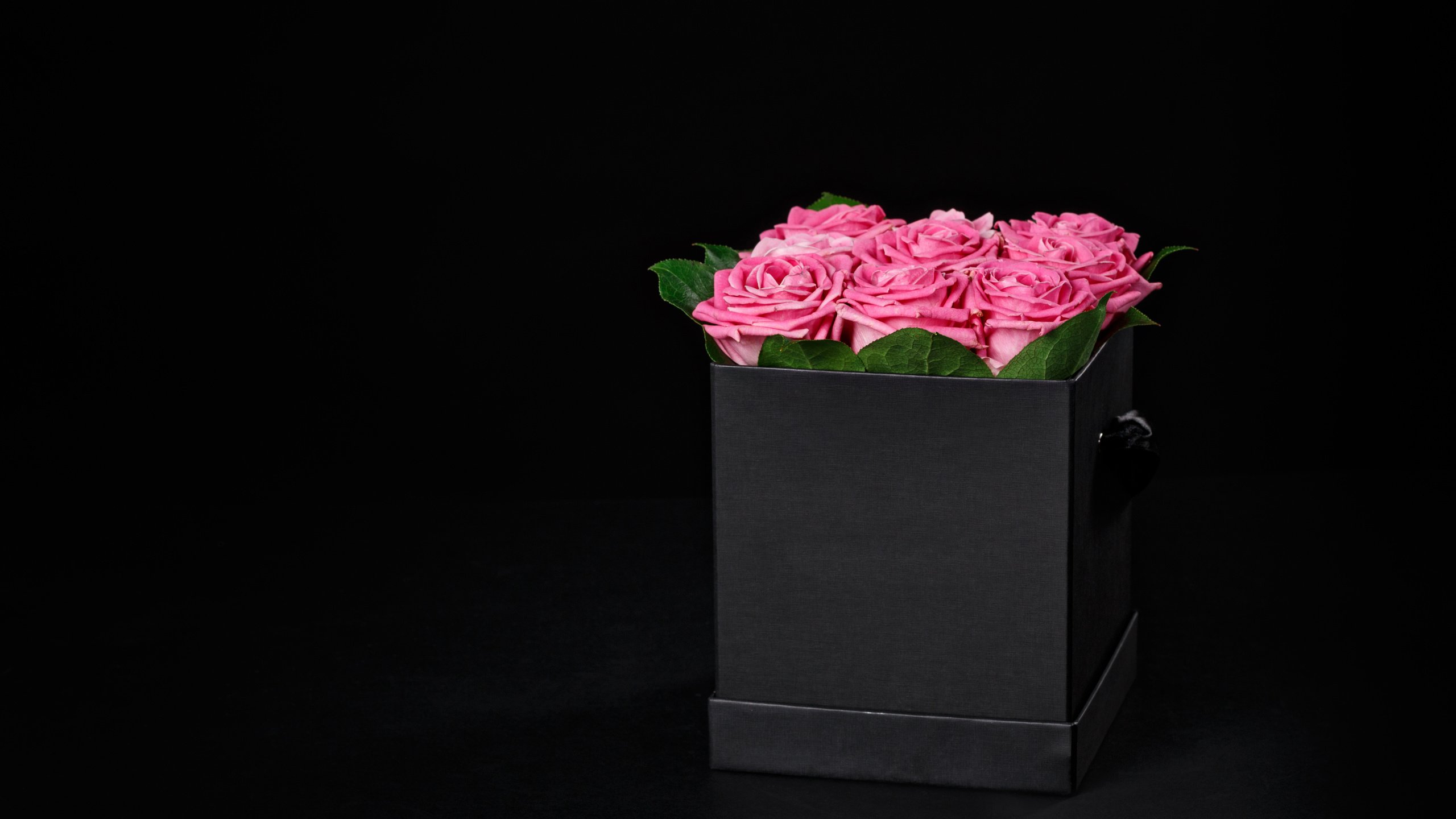 Обои цветы, розы, черный фон, розовые, подарок, коробка, flowers, roses, black background, pink, gift, box разрешение 5472x3648 Загрузить