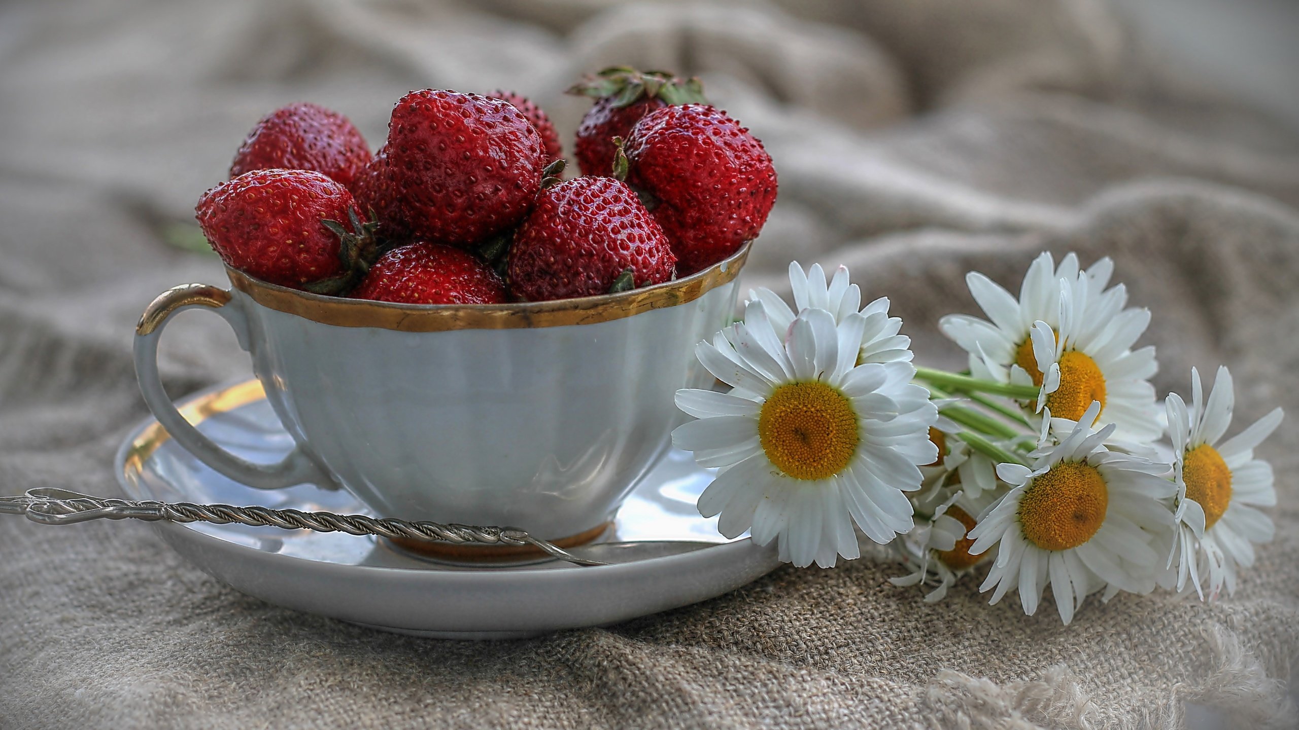 Обои цветы, клубника, ромашки, ягоды, чашка, натюрморт, ложка, flowers, strawberry, chamomile, berries, cup, still life, spoon разрешение 3250x2004 Загрузить