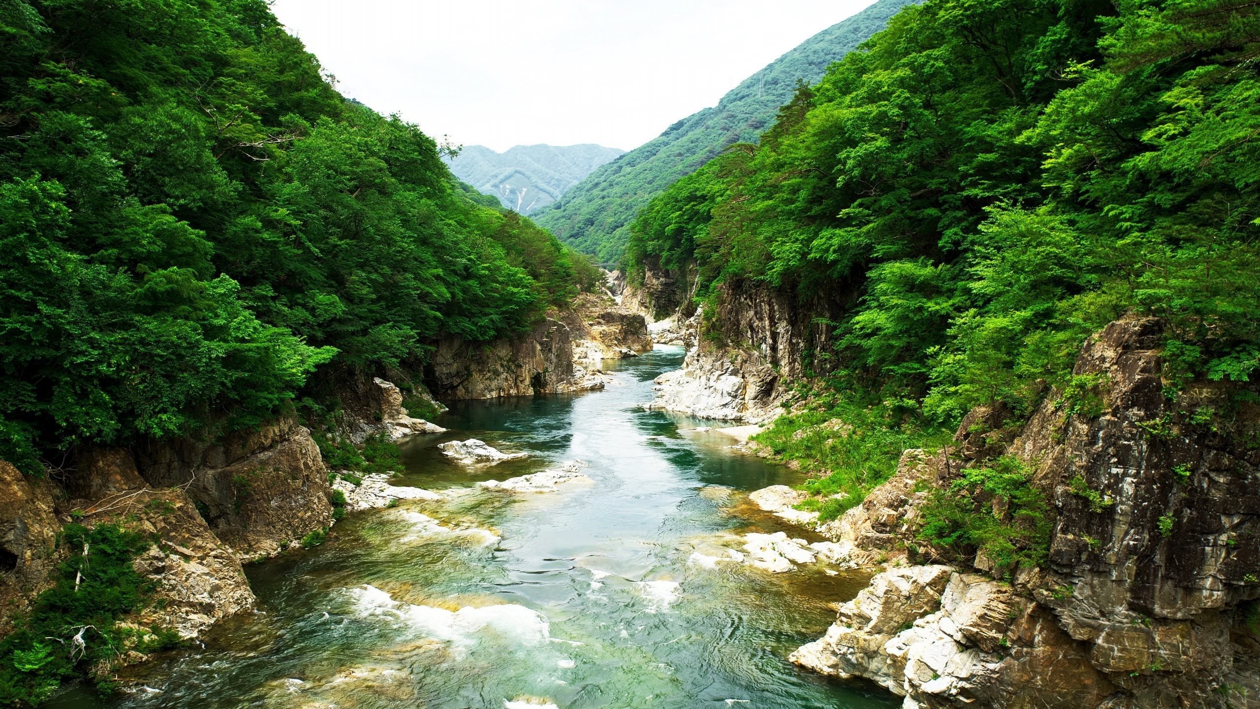 Обои река, скалы, природа, камни, растения, япония, river, rocks, nature, stones, plants, japan разрешение 2560x1600 Загрузить