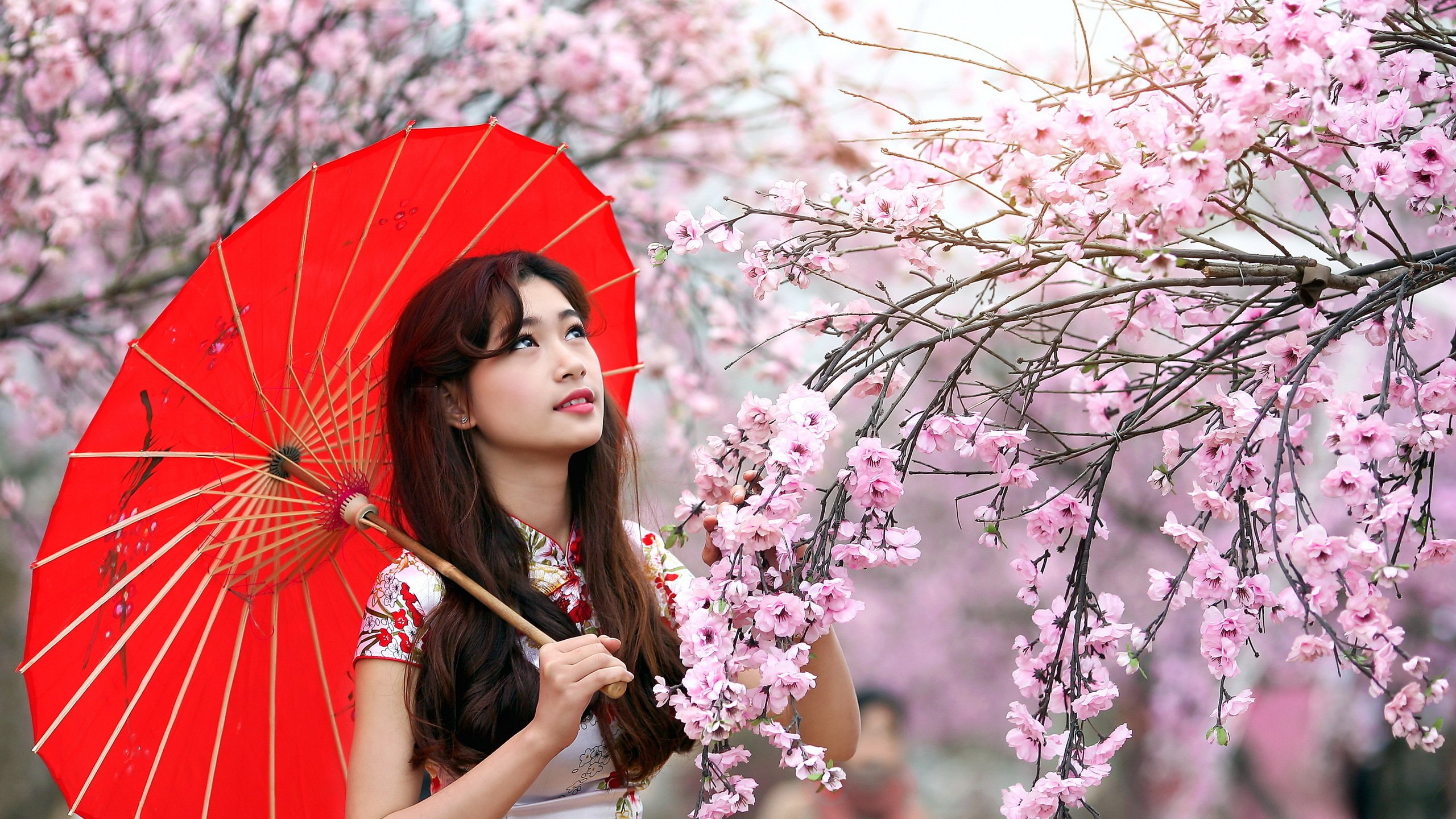 Обои цветение, азиатка, девушка, взгляд, сад, волосы, лицо, сакура, зонтик, flowering, asian, girl, look, garden, hair, face, sakura, umbrella разрешение 2560x1600 Загрузить