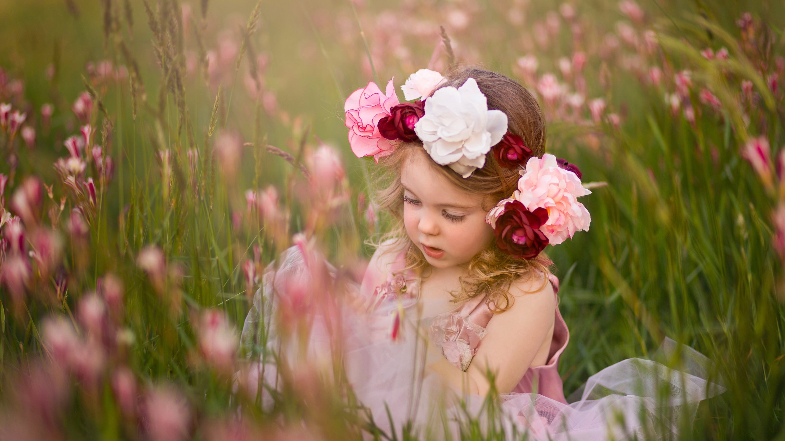 Обои цветы, трава, дети, девочка, луг, ребенок, венок, flowers, grass, children, girl, meadow, child, wreath разрешение 5760x3840 Загрузить