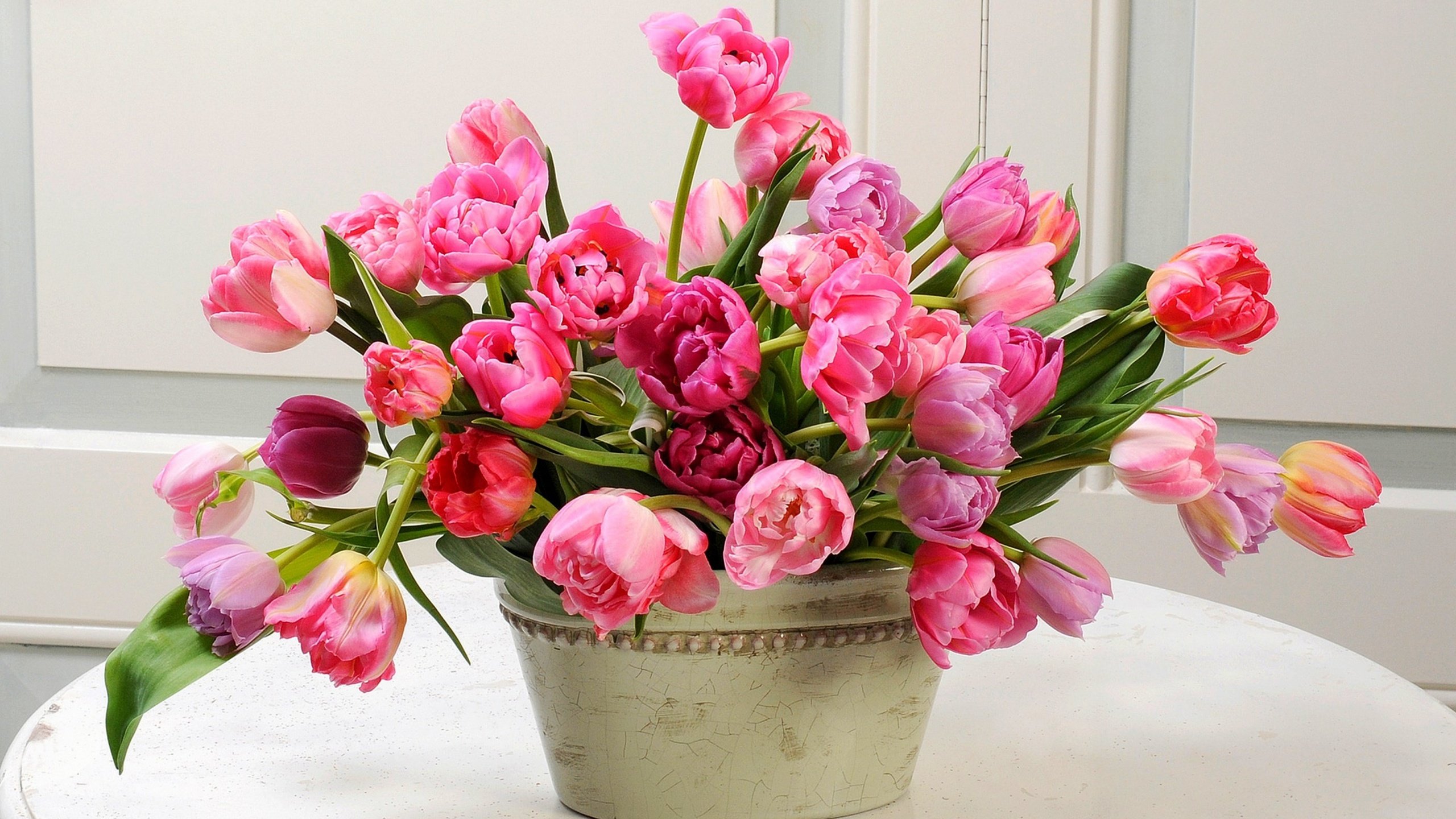 Обои цветы, букет, тюльпаны, flowers, bouquet, tulips разрешение 2880x1800 Загрузить
