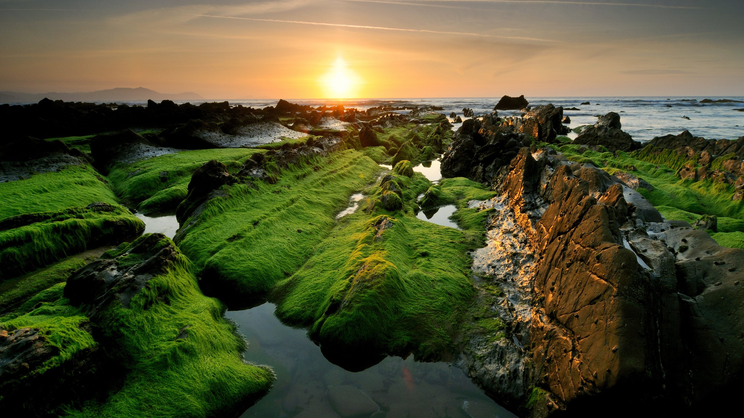 Обои небо, скалы, солнце, камни, море, побережье, водоросли, the sky, rocks, the sun, stones, sea, coast, algae разрешение 2560x1700 Загрузить