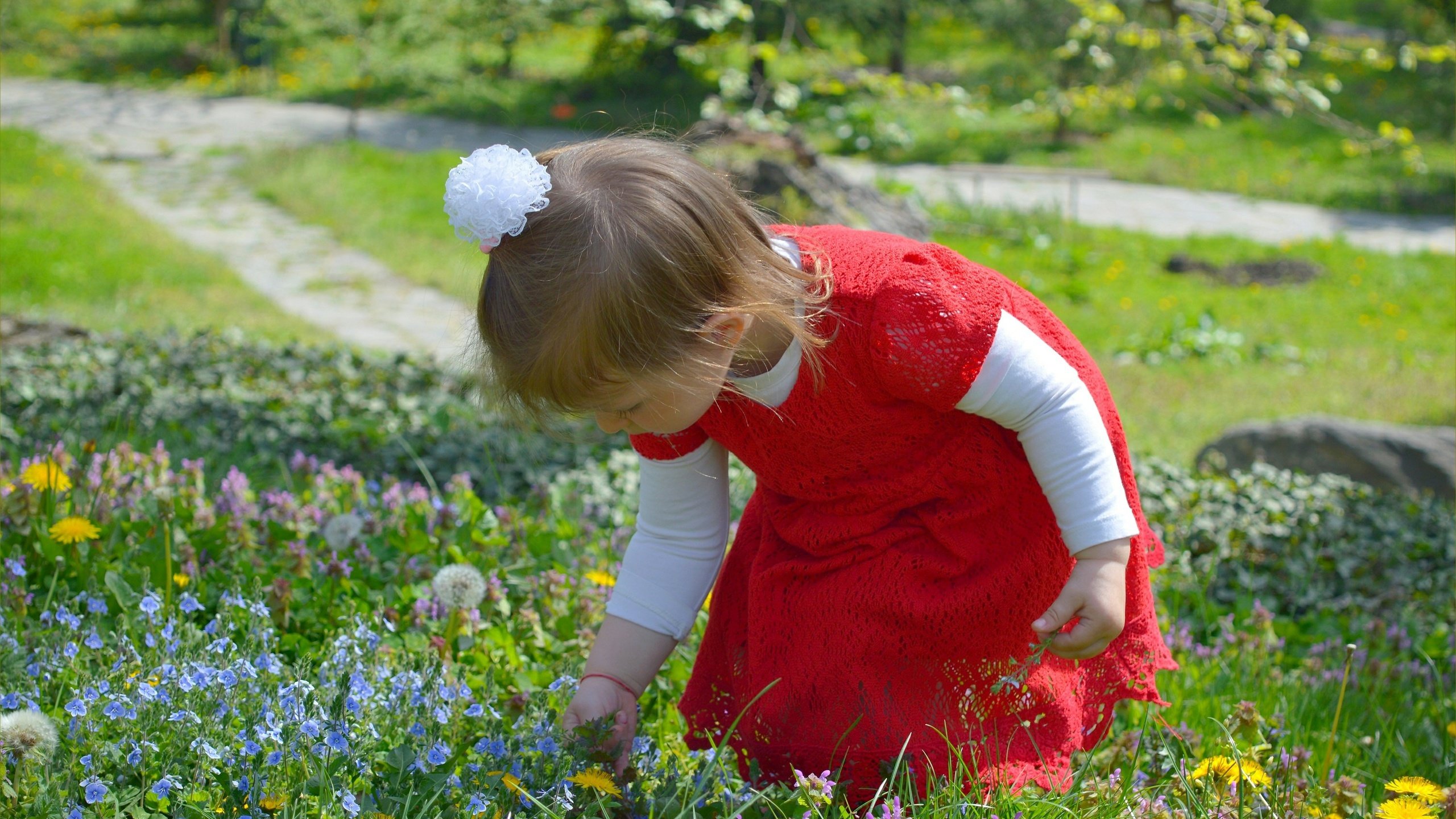 Обои цветы, природа, дети, девочка, ребенок, полевые цветы, flowers, nature, children, girl, child, wildflowers разрешение 3000x1897 Загрузить