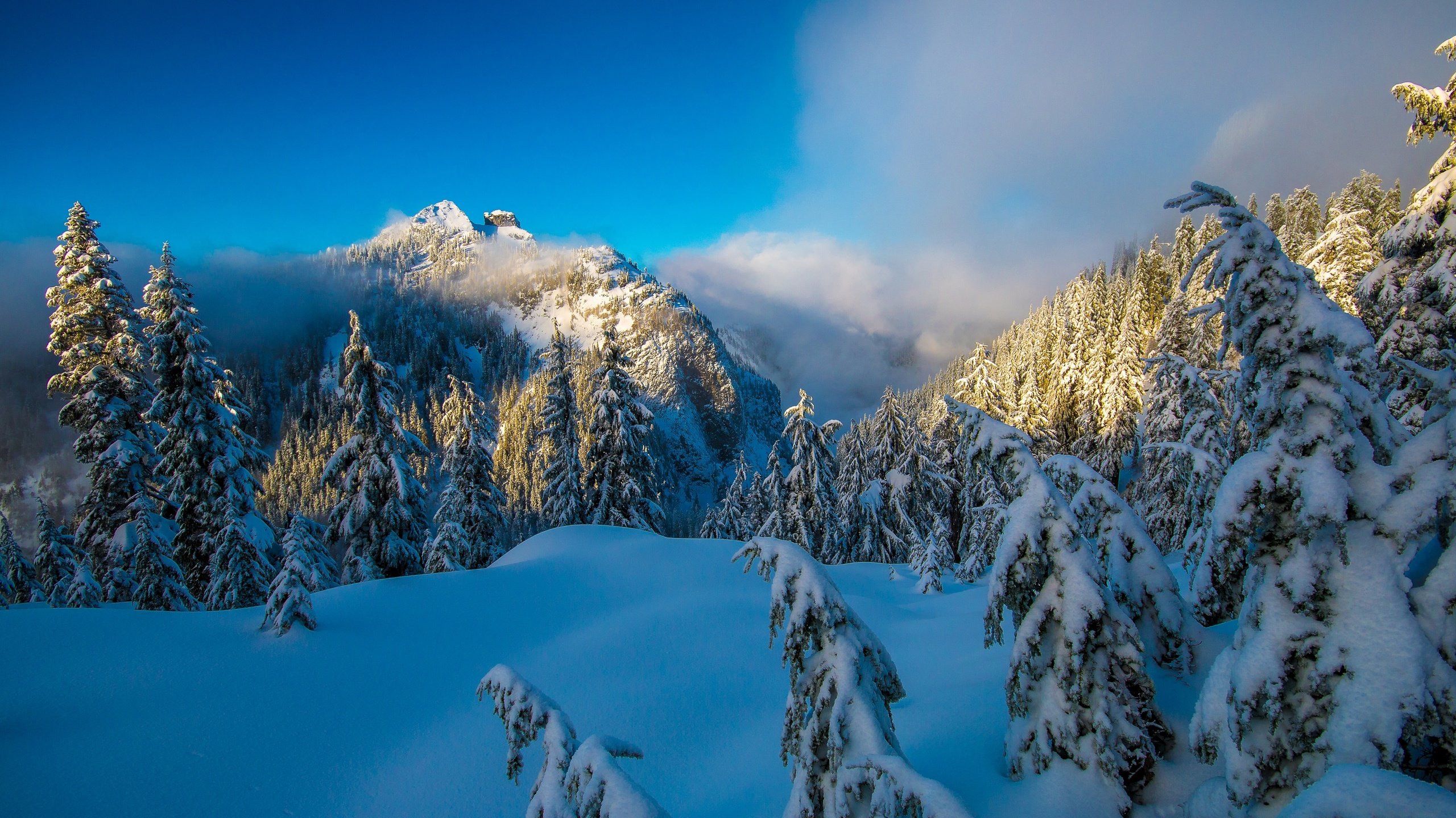 Обои небо, деревья, горы, снег, природа, лес, зима, солнечный день, the sky, trees, mountains, snow, nature, forest, winter, sunny day разрешение 3600x2400 Загрузить