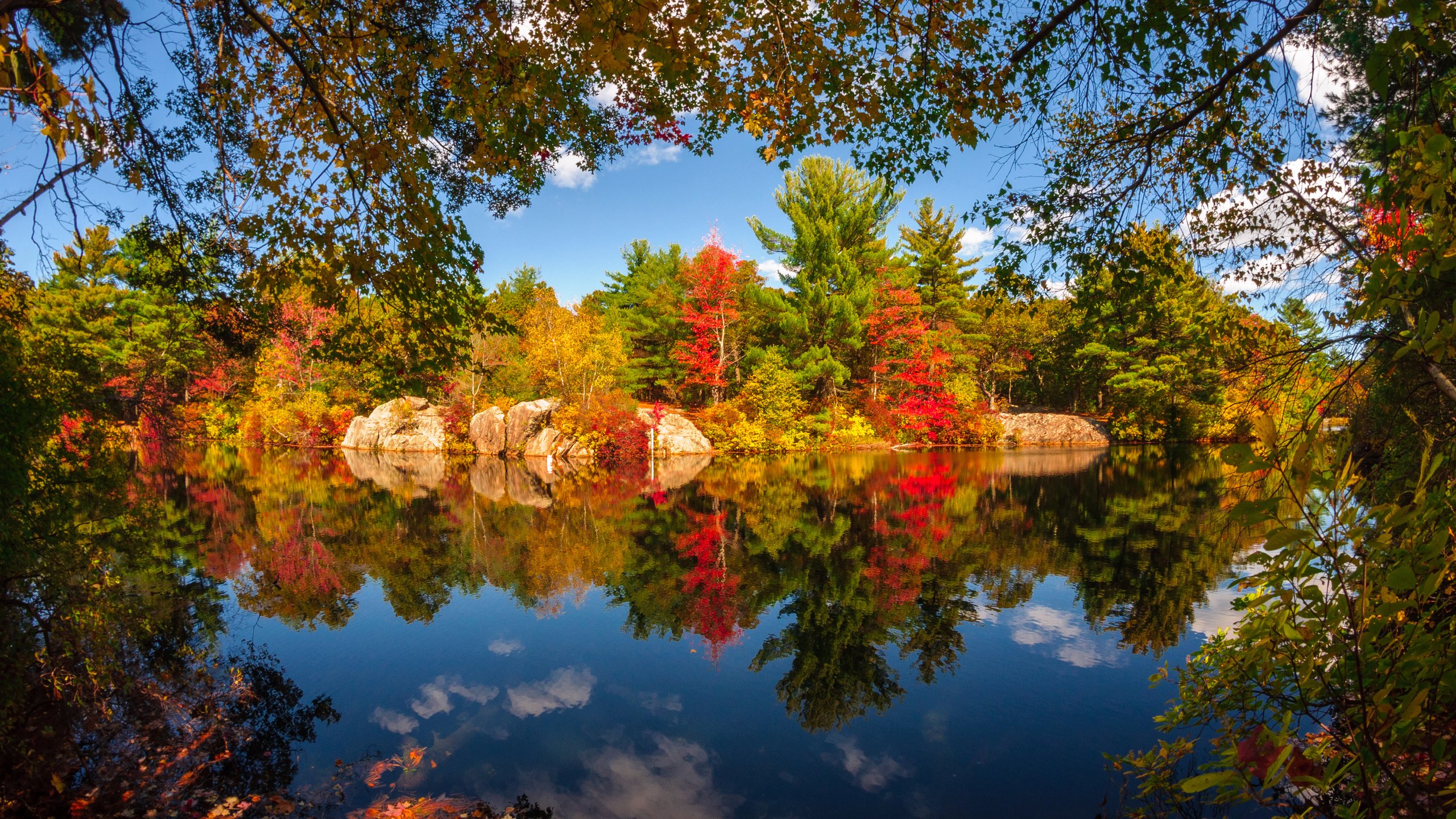 Обои небо, облака, деревья, озеро, природа, лес, отражение, осень, the sky, clouds, trees, lake, nature, forest, reflection, autumn разрешение 3840x2400 Загрузить