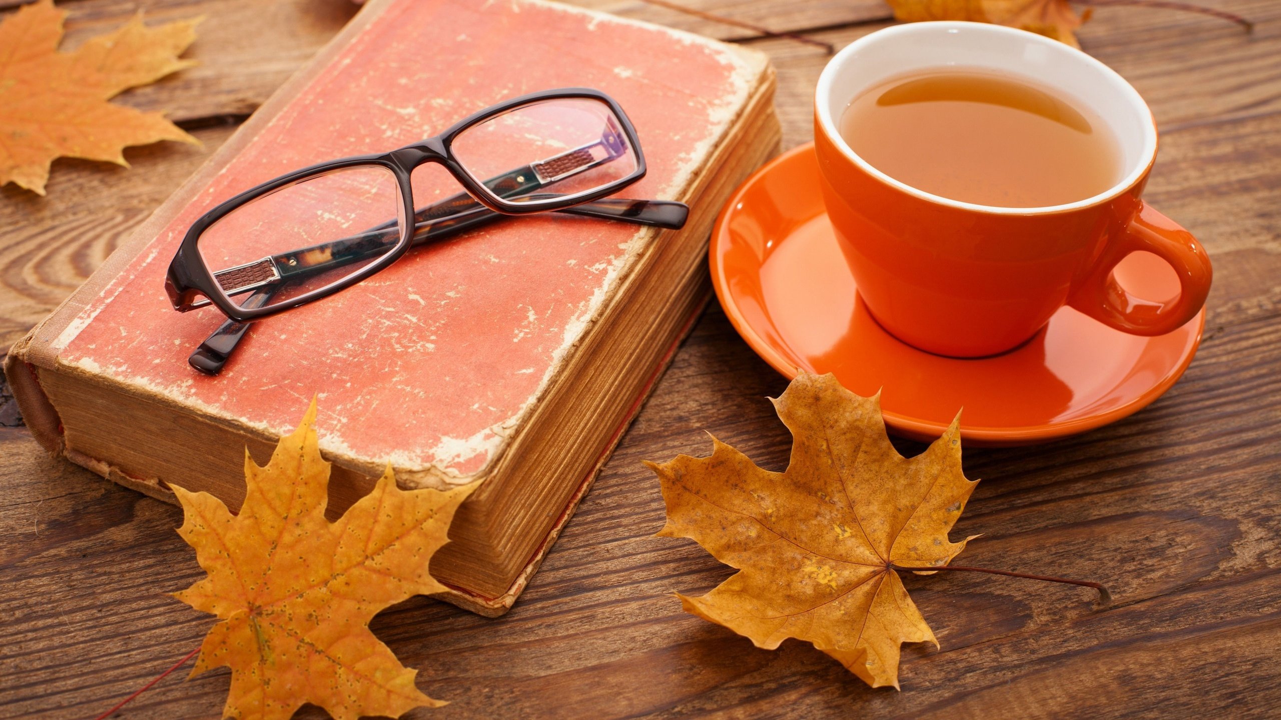 Обои листья, настроение, осень, очки, чашка, чай, книга, leaves, mood, autumn, glasses, cup, tea, book разрешение 3840x2160 Загрузить