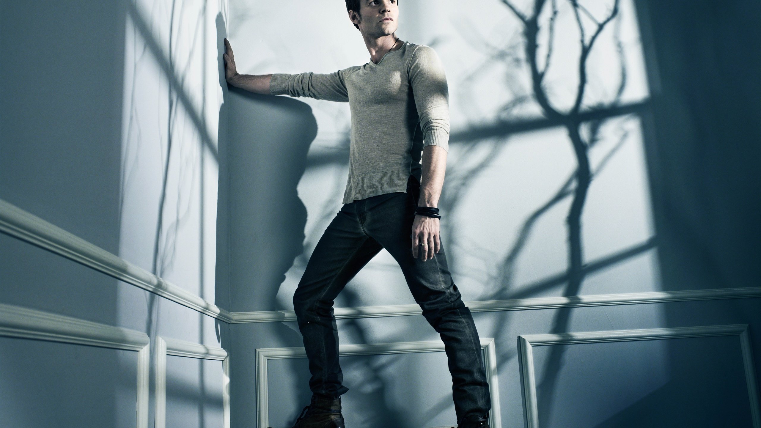 Обои тень, джинсы, мужчина, дэниел гиллис, daniel gillies, shadow, jeans, male, daniel gillis разрешение 8984x6732 Загрузить