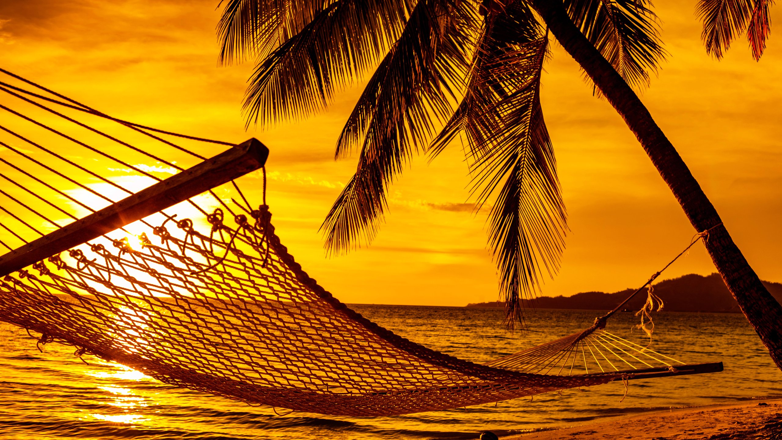 Обои закат, море, пляж, гамак, тропики, sunset, sea, beach, hammock, tropics разрешение 5616x3744 Загрузить