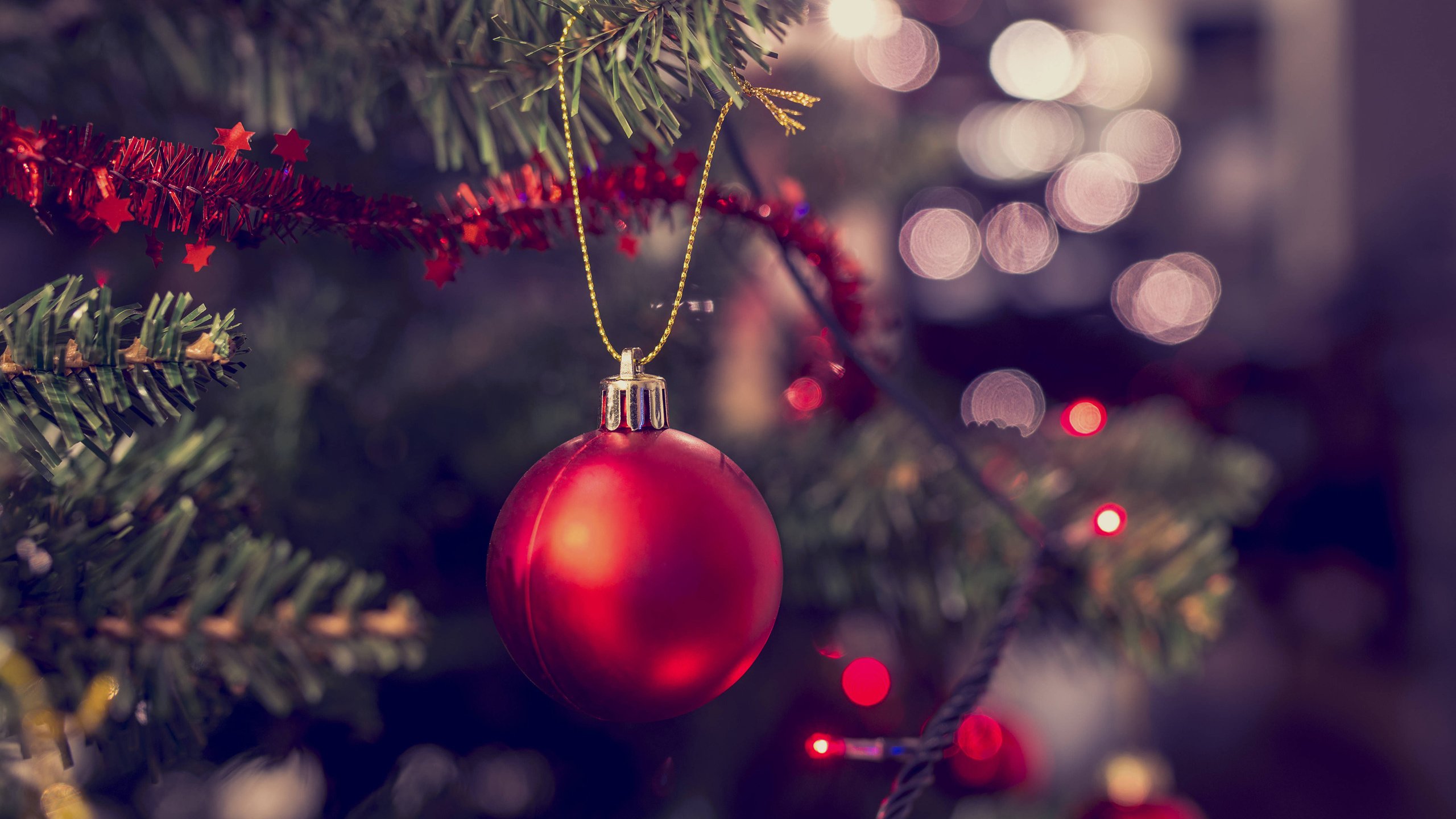 Обои новый год, елка, шар, рождество, гирлянда, new year, tree, ball, christmas, garland разрешение 3840x2400 Загрузить