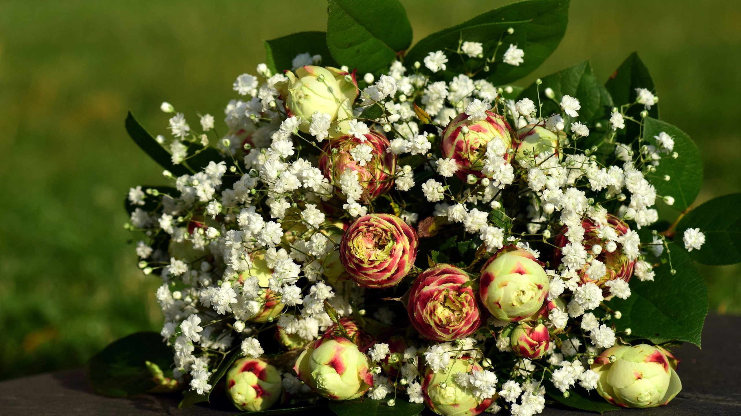 Обои цветы, листья, букет, ранункулюс, лютик, гипсофила, flowers, leaves, bouquet, ranunculus, buttercup, gypsophila разрешение 5992x3808 Загрузить