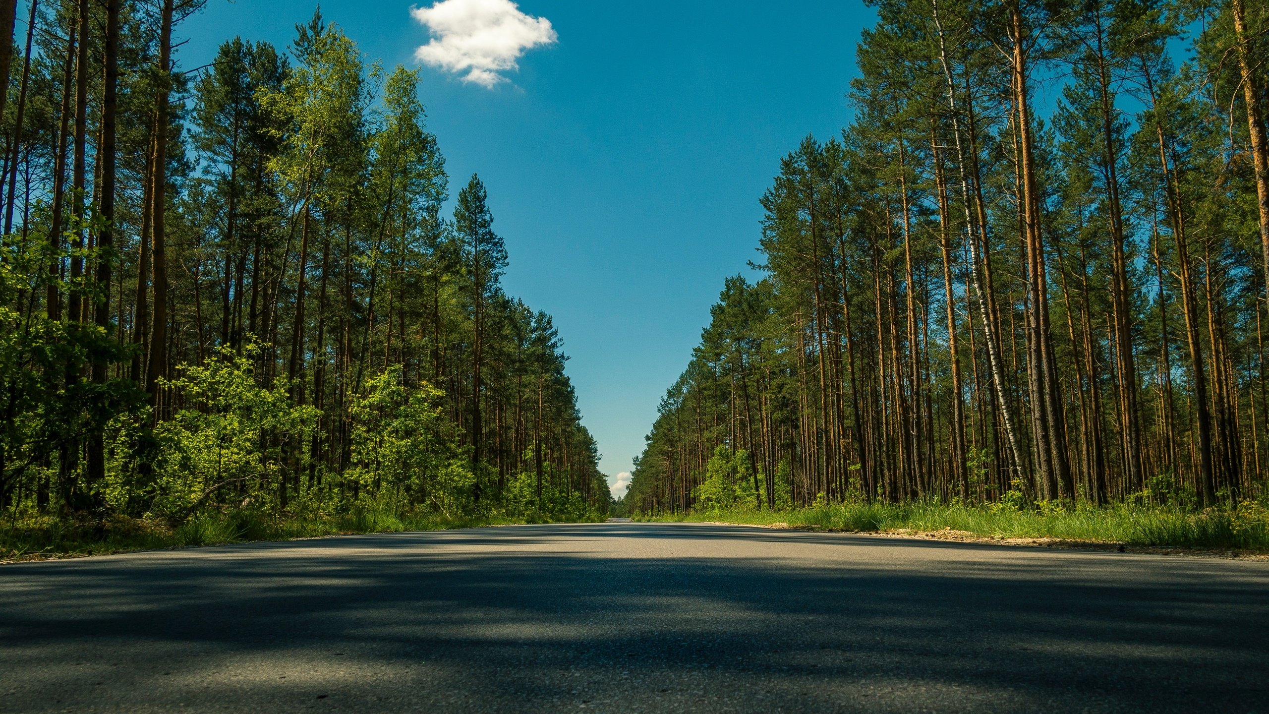 Обои небо, дорога, облака, деревья, лето, the sky, road, clouds, trees, summer разрешение 4446x2964 Загрузить