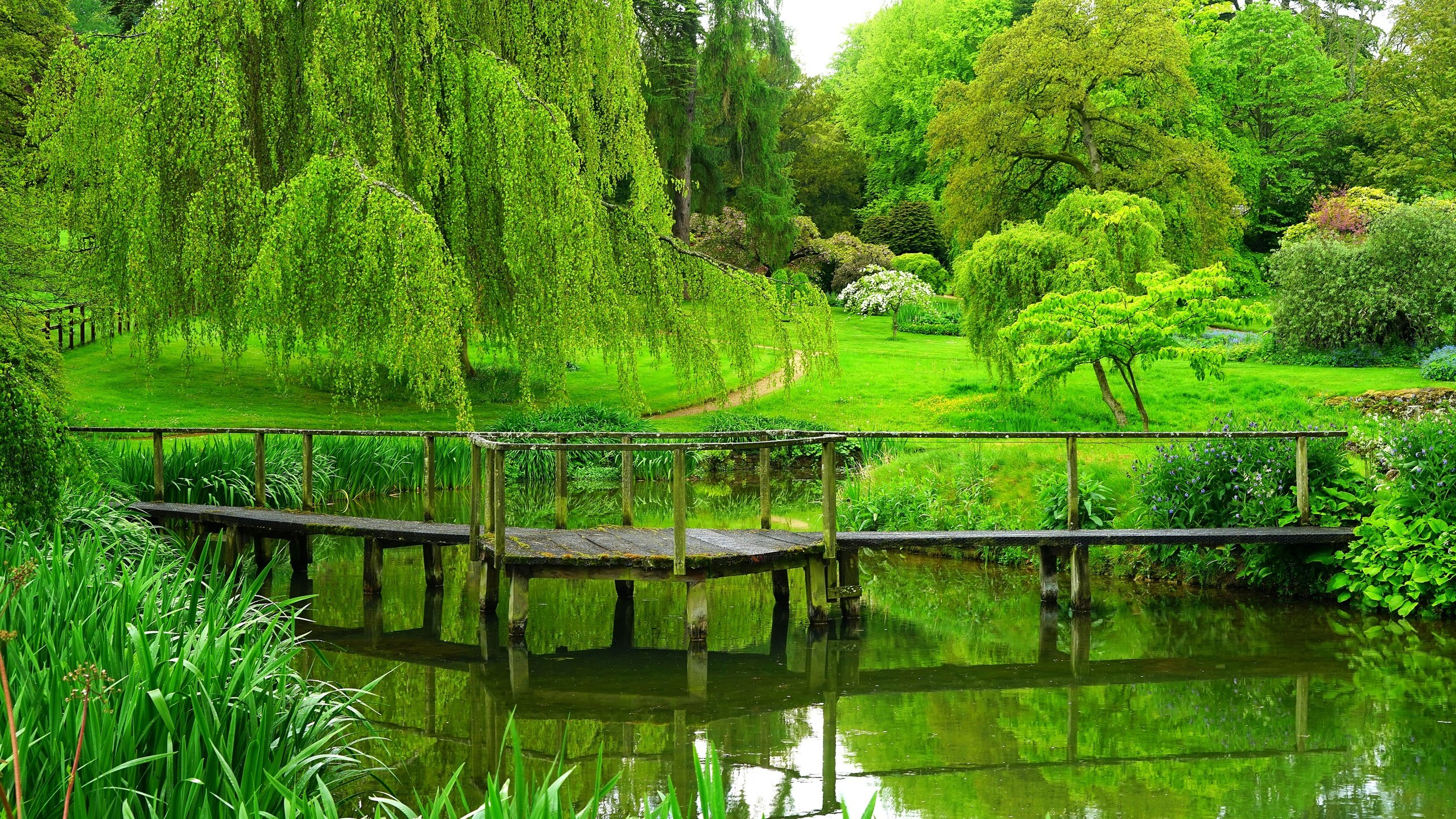 Обои деревья, река, мостик, парк, лето, англия, trees, river, the bridge, park, summer, england разрешение 3900x2600 Загрузить