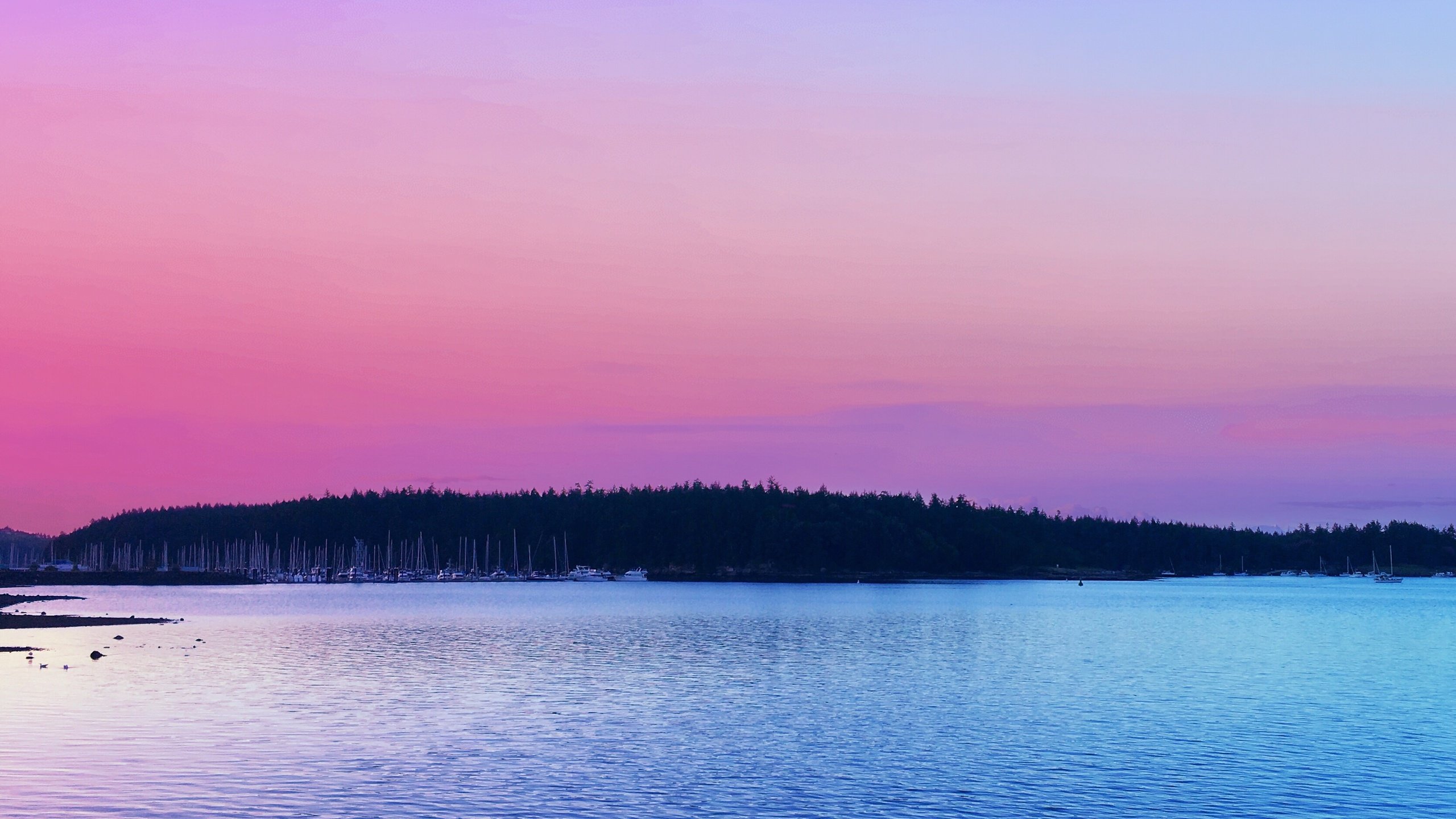 Обои деревья, озеро, закат, горизонт, trees, lake, sunset, horizon разрешение 3342x2675 Загрузить