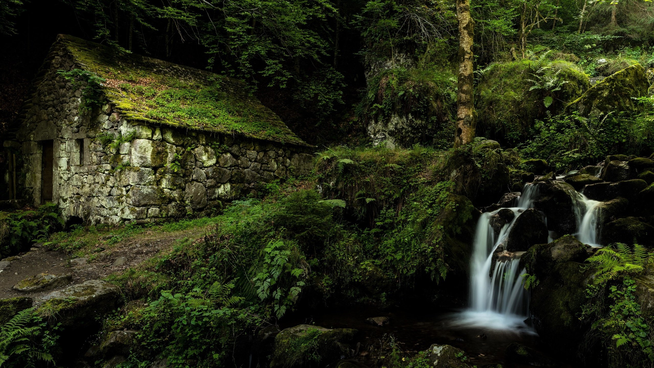 Обои природа, лес, ручей, водопад, дом, франция, франци, овернь, nature, forest, stream, waterfall, house, france, auvergne разрешение 3840x2400 Загрузить