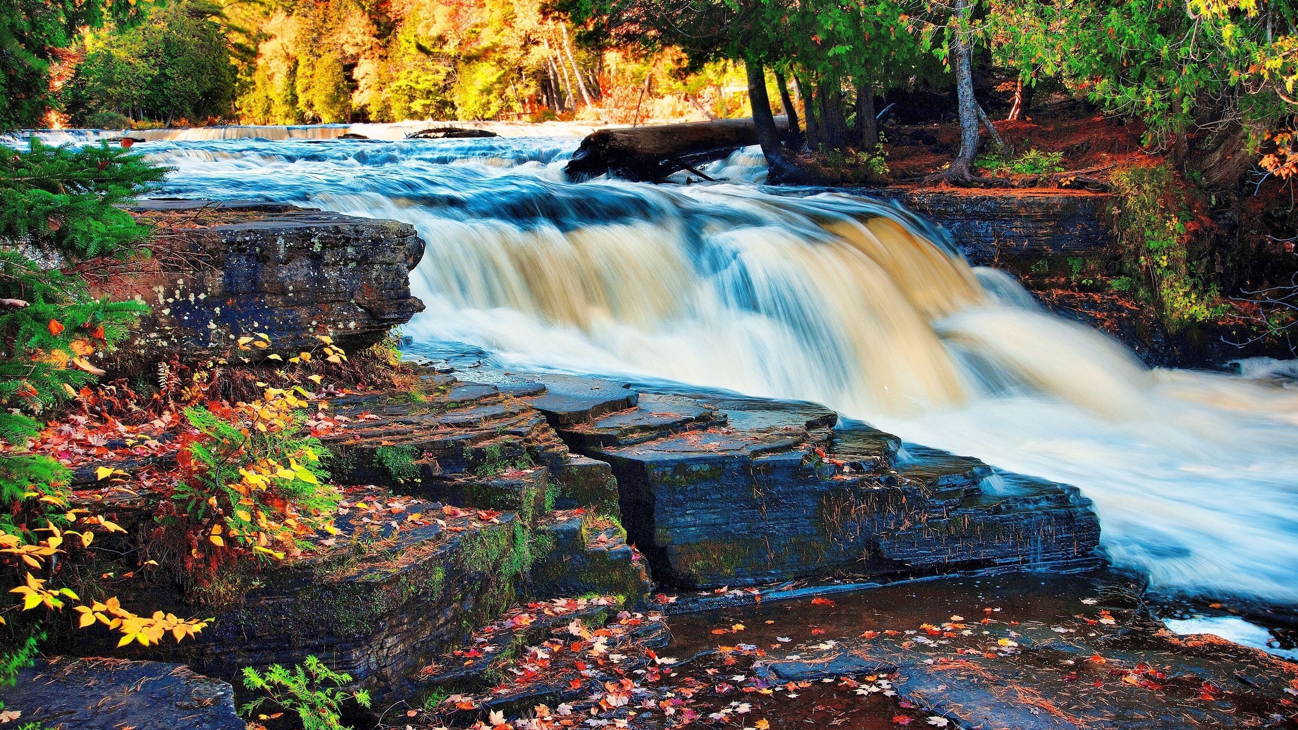 Обои деревья, осень, река, скалы, камни, лес, листья, ручей, водопад, trees, autumn, river, rocks, stones, forest, leaves, stream, waterfall разрешение 4672x3104 Загрузить