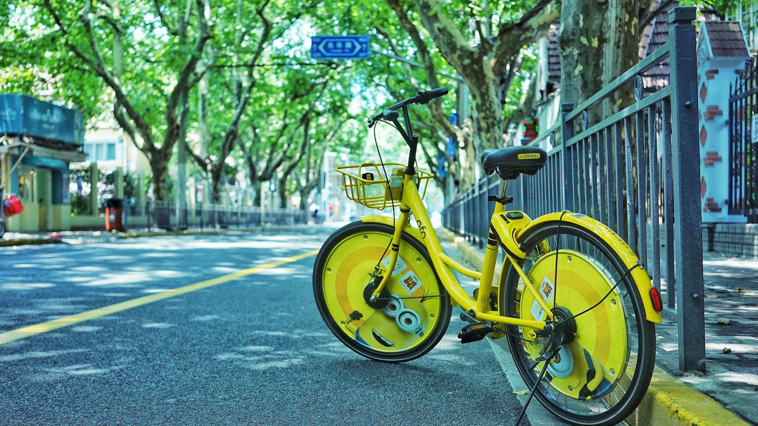 Обои деревья, город, улица, велосипед, trees, the city, street, bike разрешение 5567x3706 Загрузить