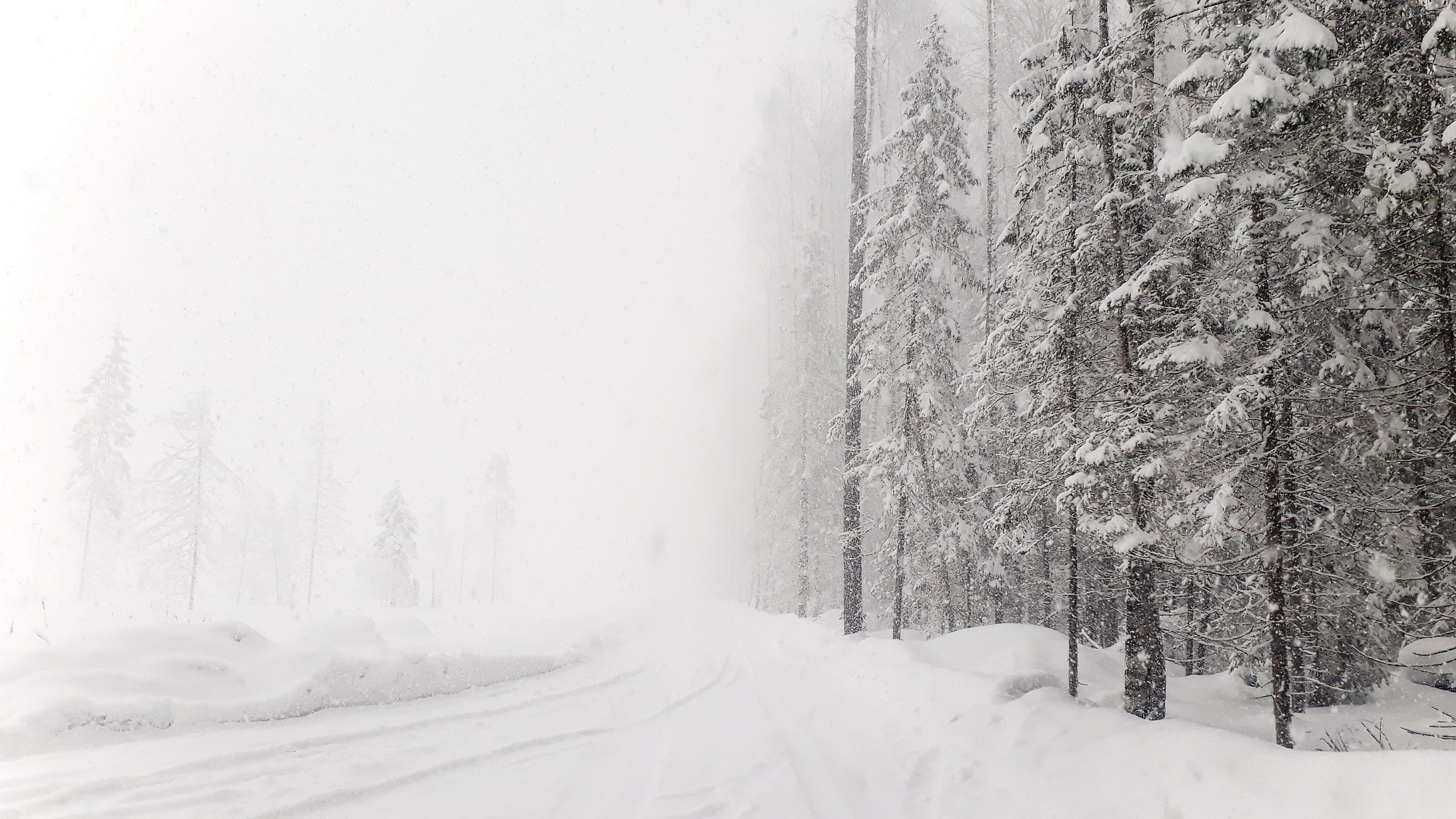 Обои #зима#лес#снег#россия#леснаядорога, #winter#forest#snow#russia#lenaderg разрешение 4128x2322 Загрузить