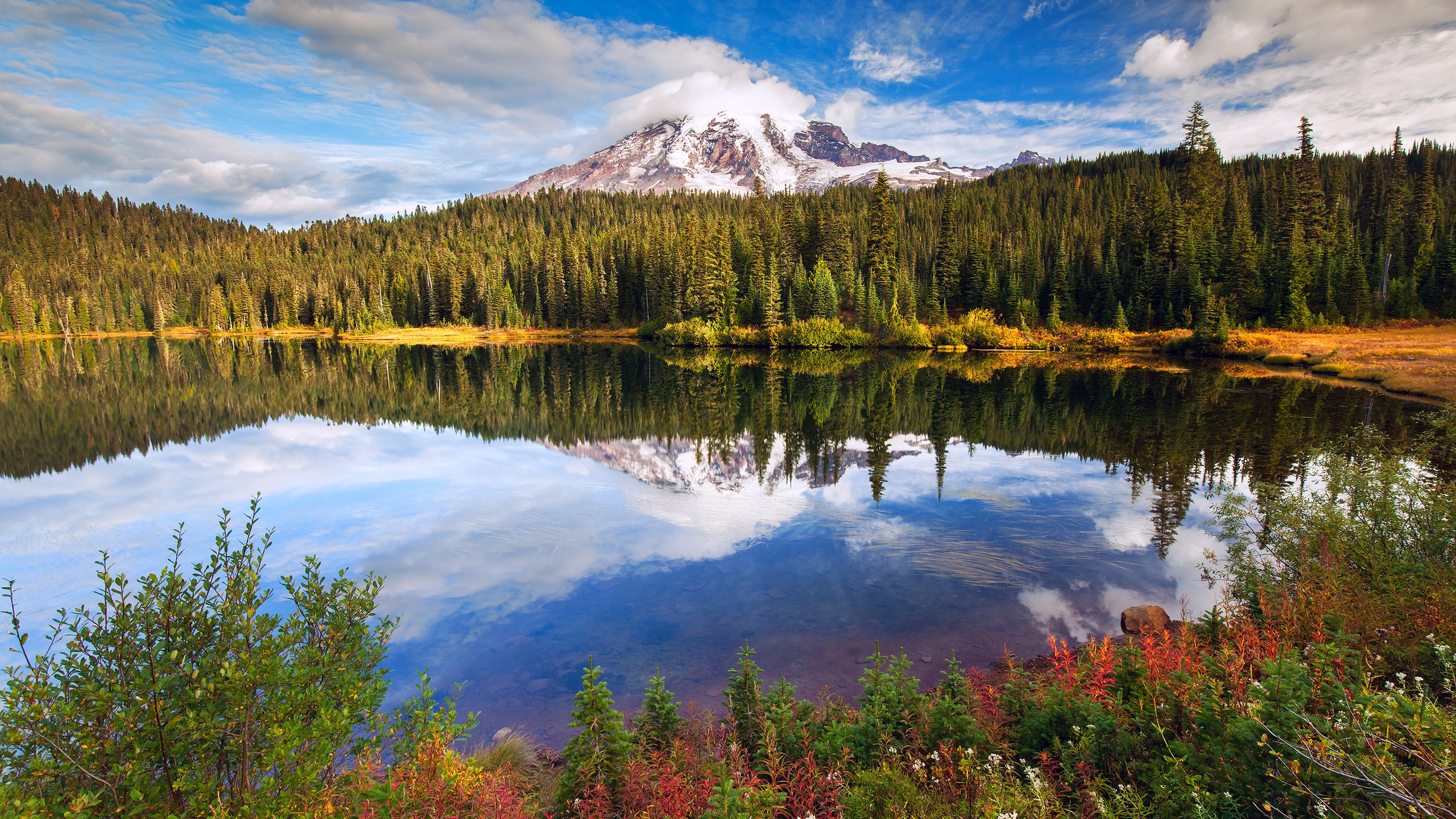 Обои озеро, лес, гора, lake, forest, mountain разрешение 2880x1800 Загрузить